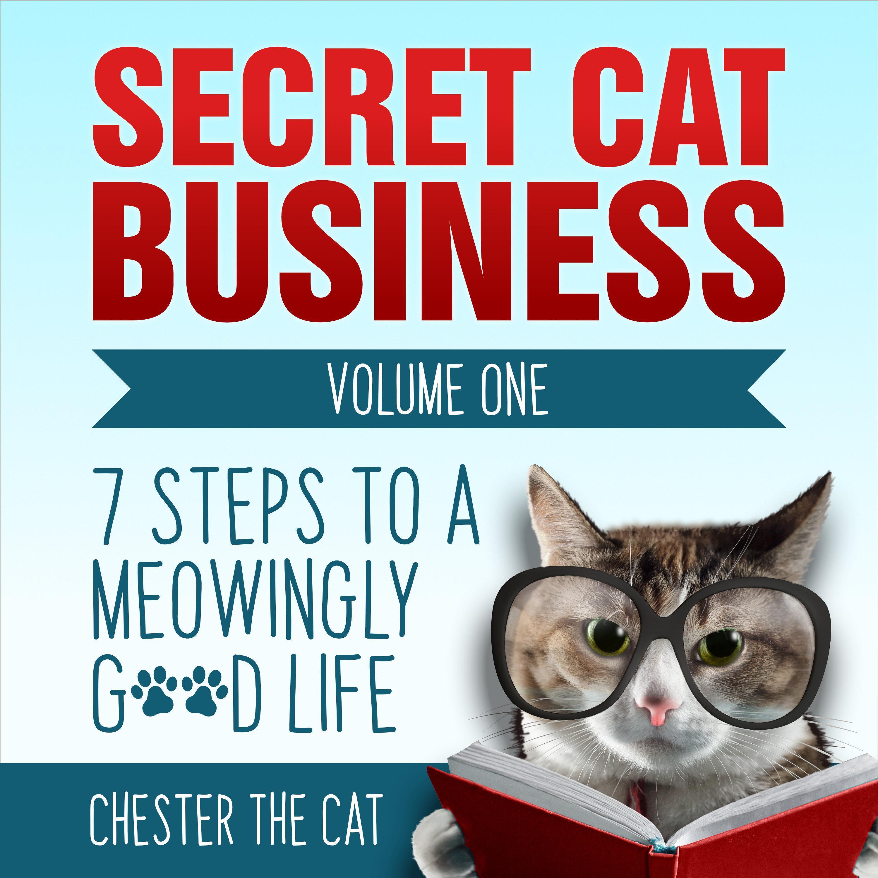 Secret Cat Business Volume One