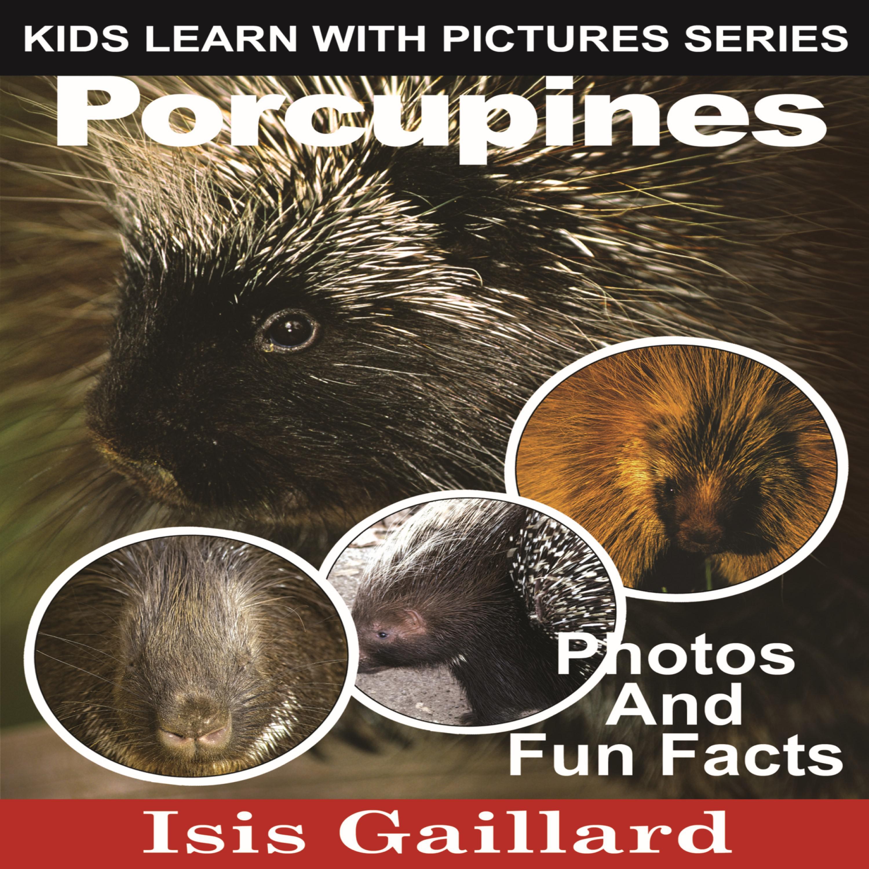 Porcupines