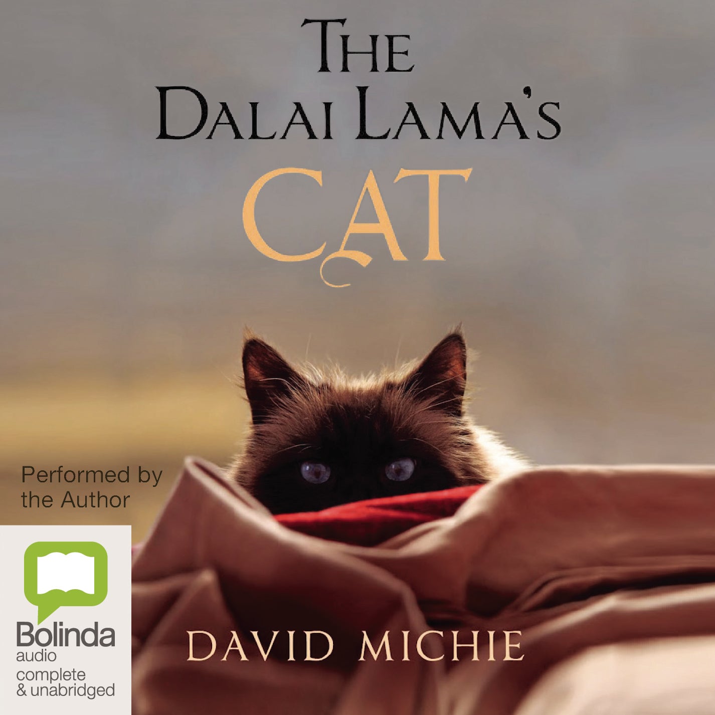 The Dalai Lama’s Cat