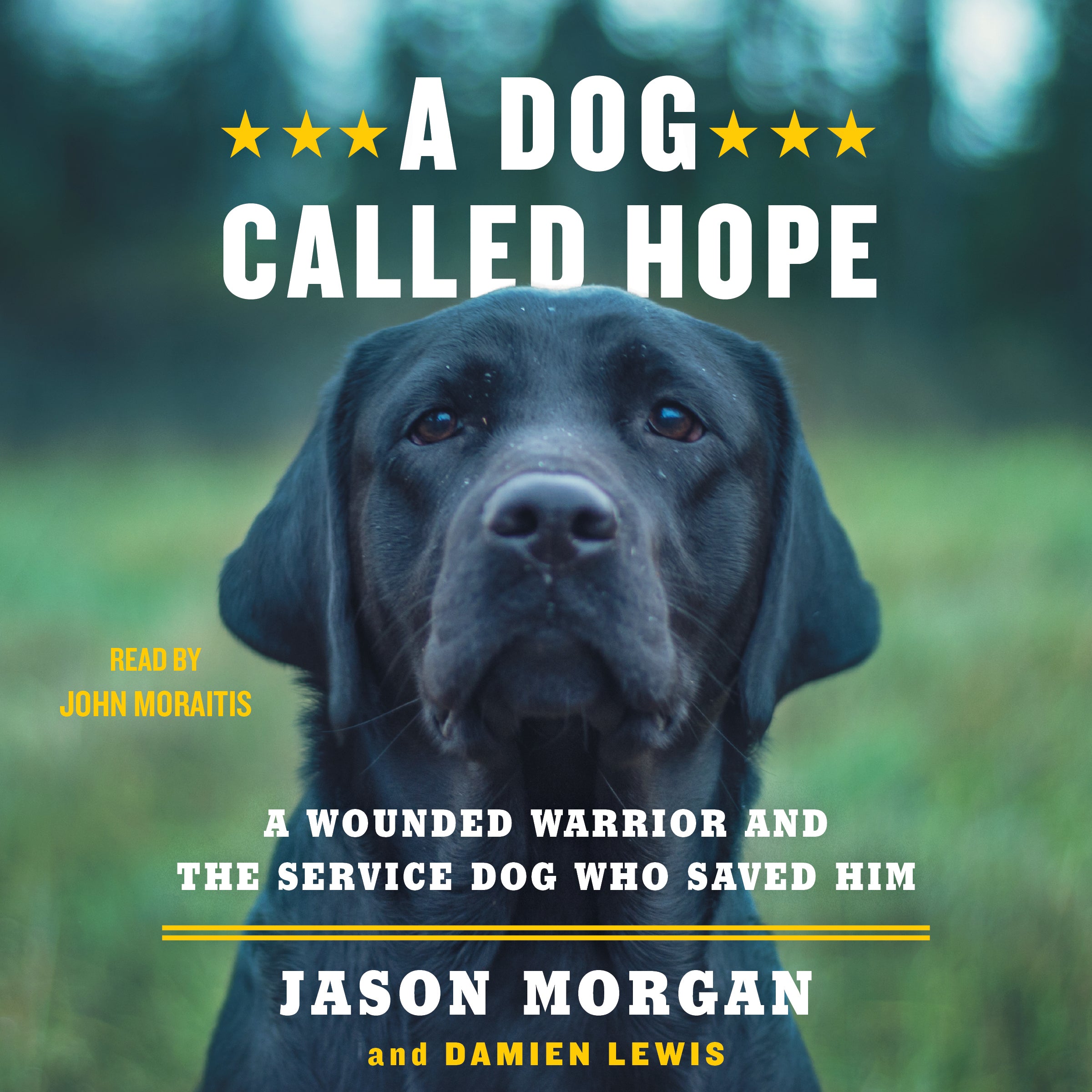 A Dog Called Hope