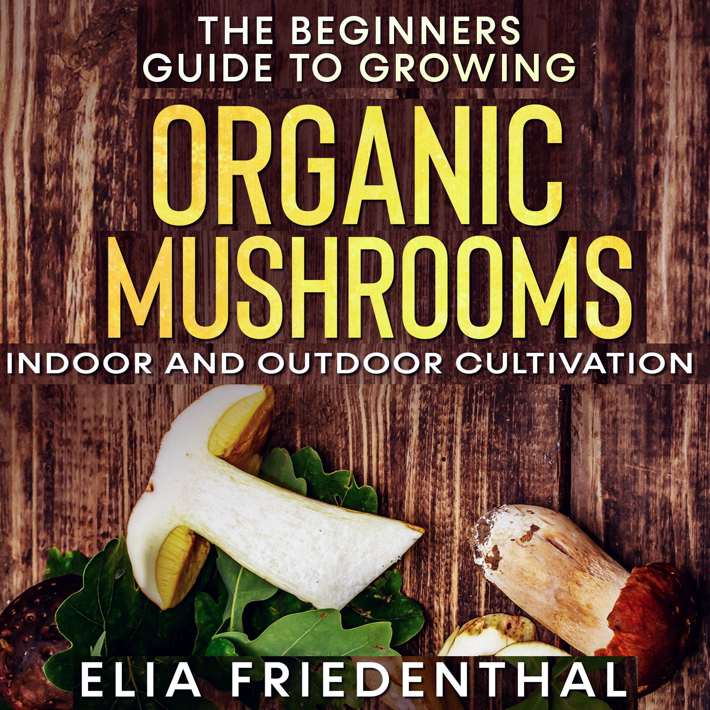 The Beginners Guide to Growing Organic Mushrooms