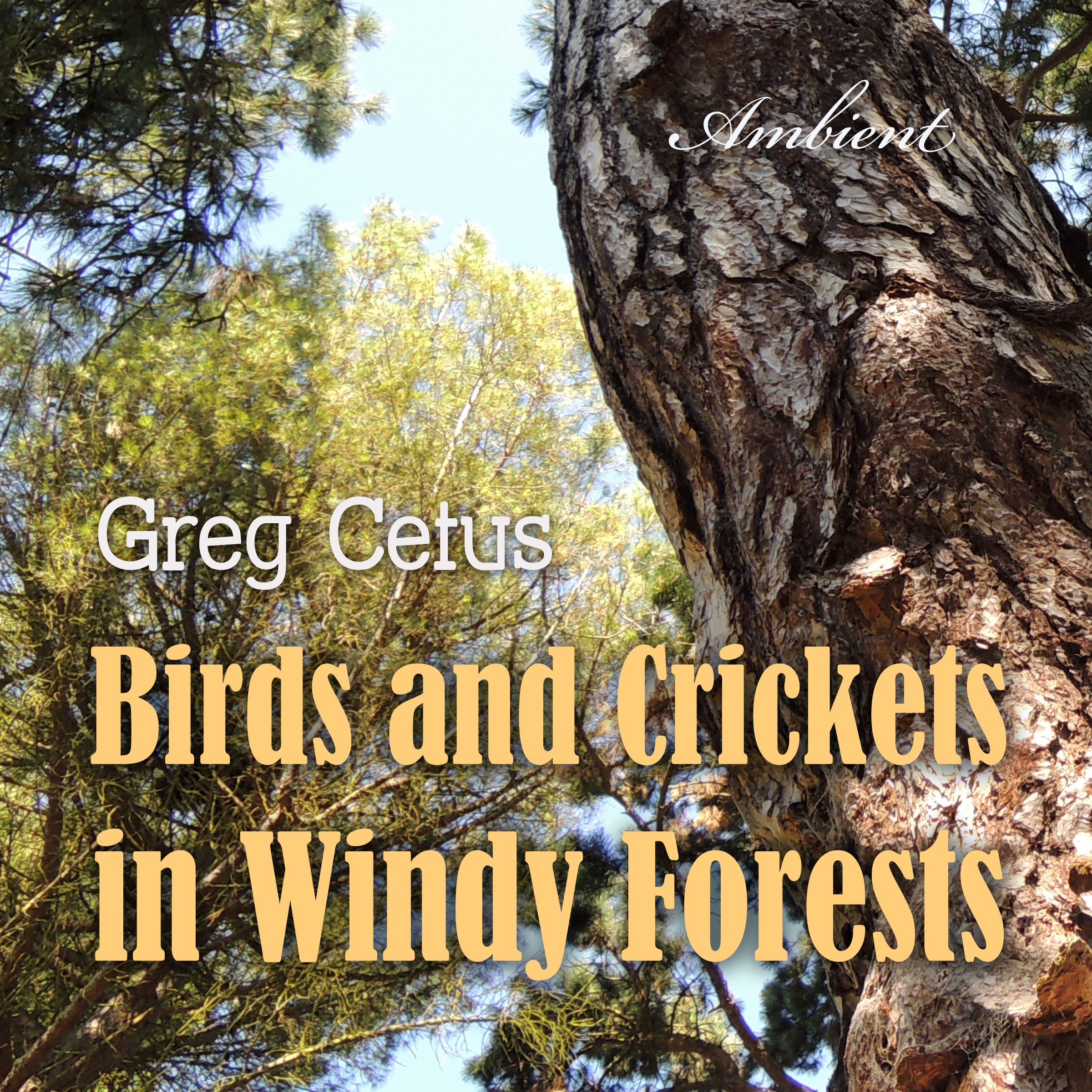 Birds and Crickets in Windy Forests: Productivity Soundscape for Clarity and Relaxation