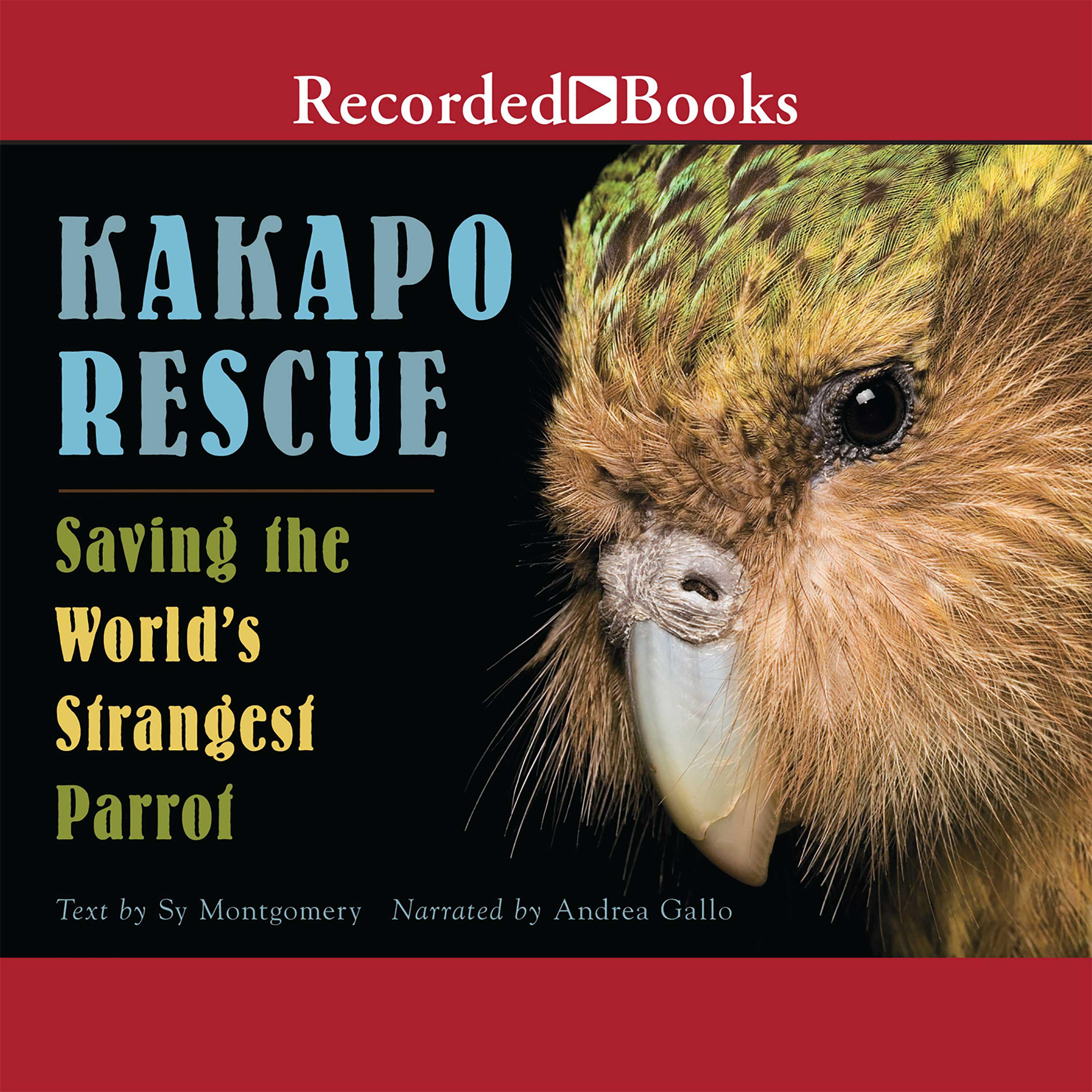 Kakapo Rescue