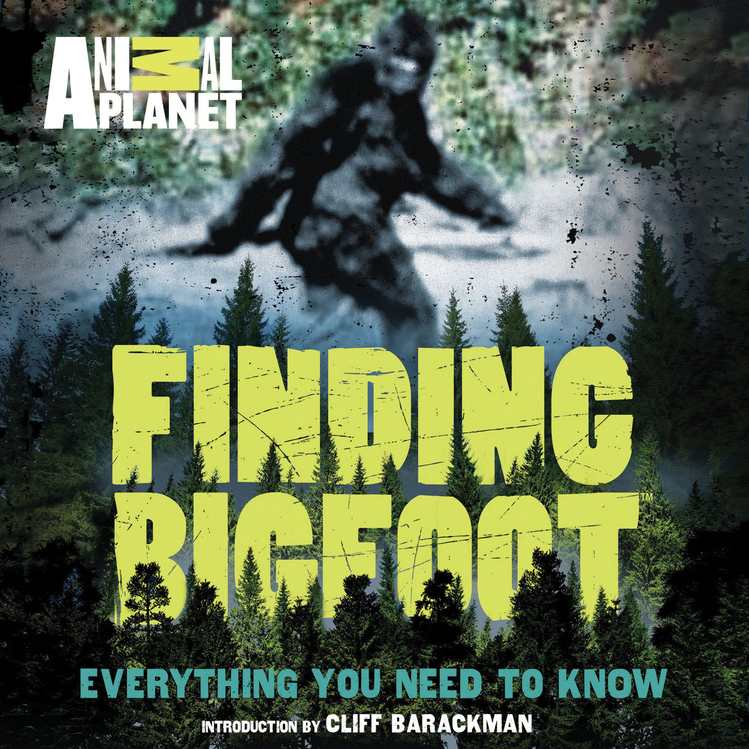 Finding Bigfoot