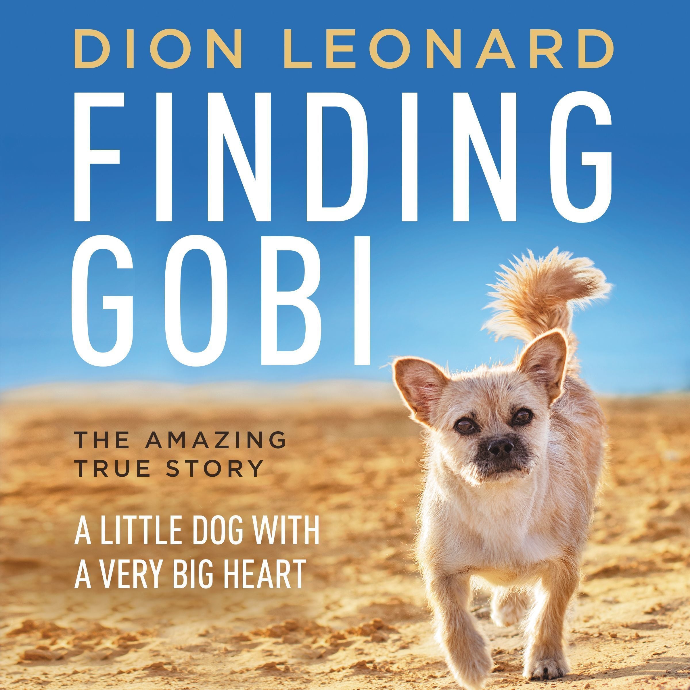 Finding Gobi