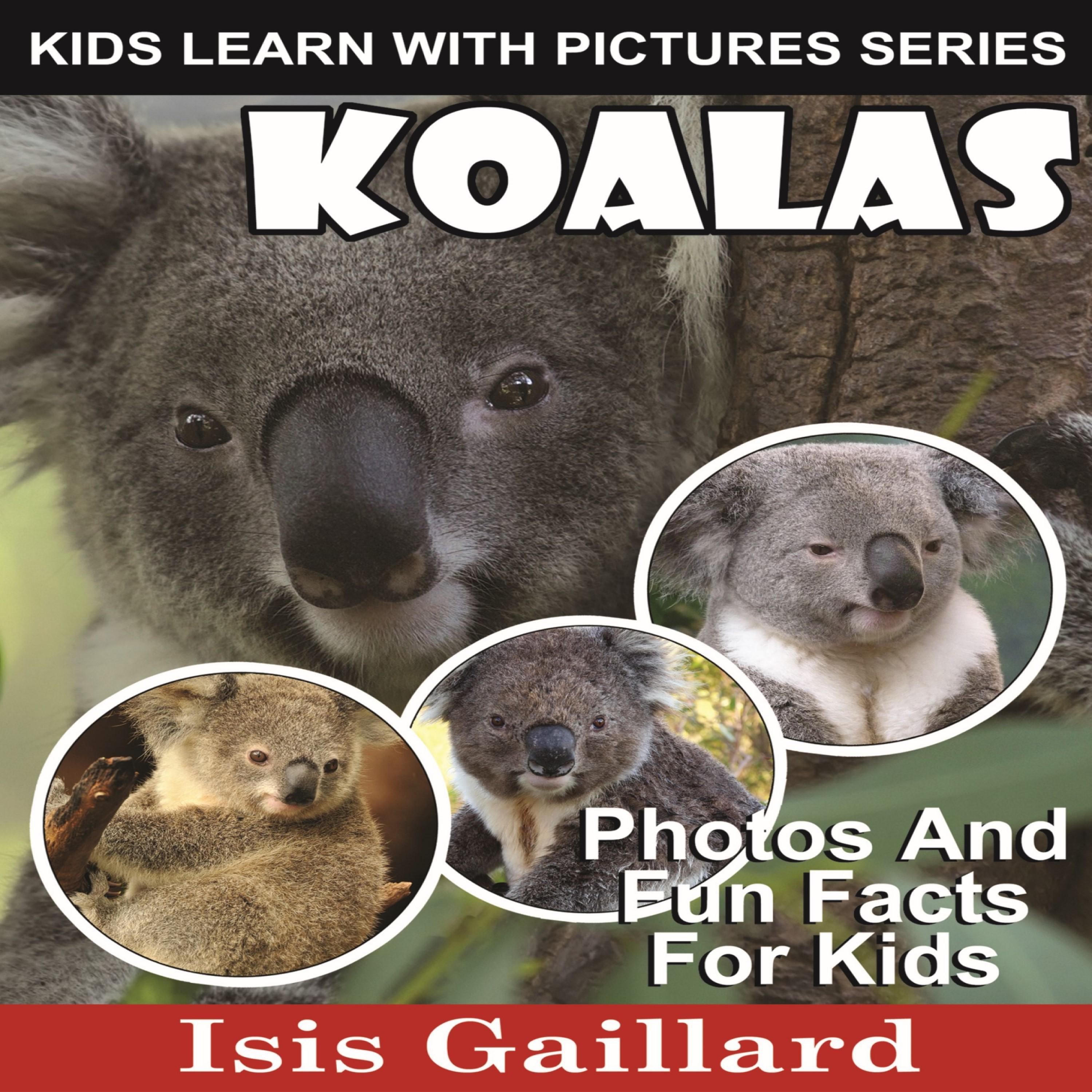 Koalas