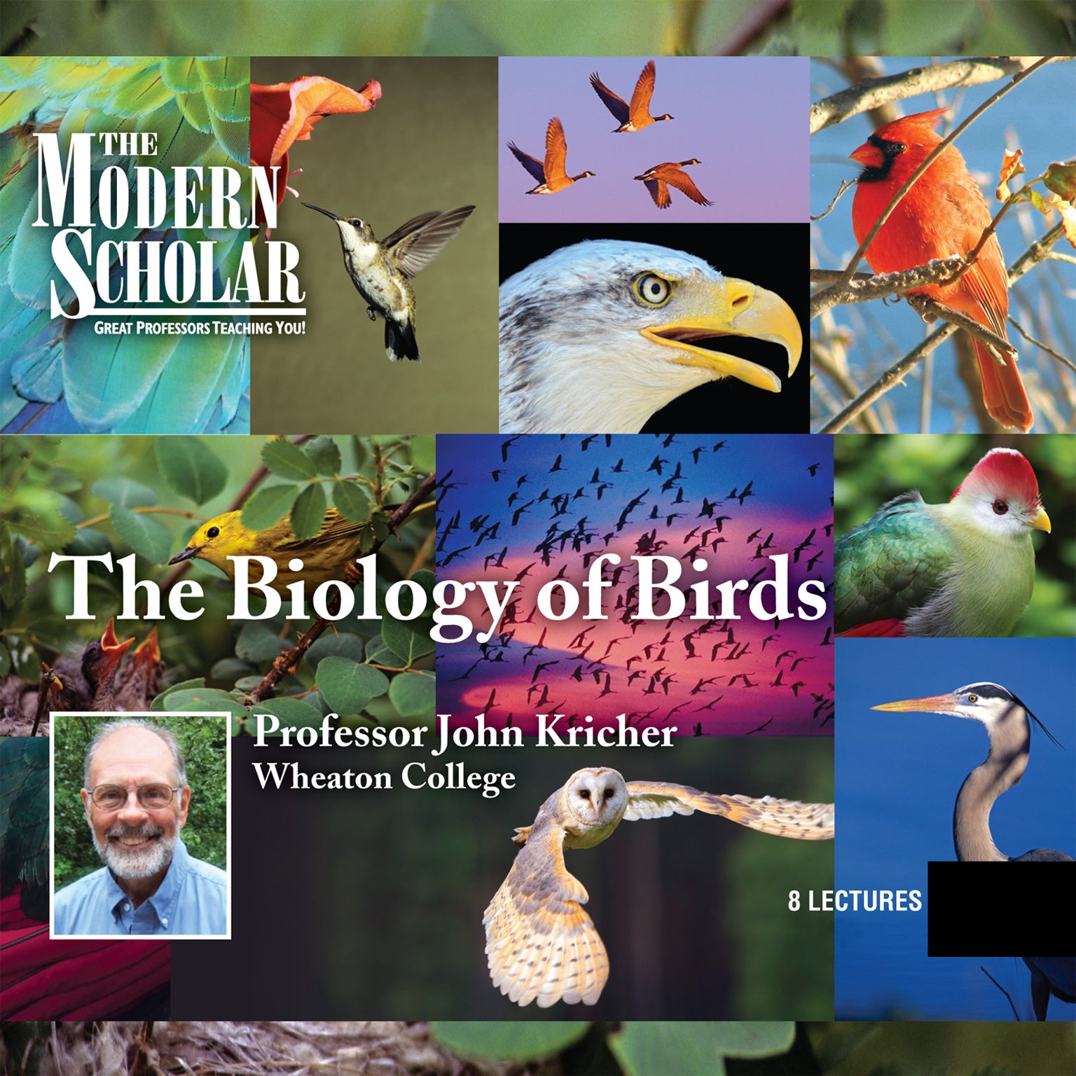 Biology of Birds