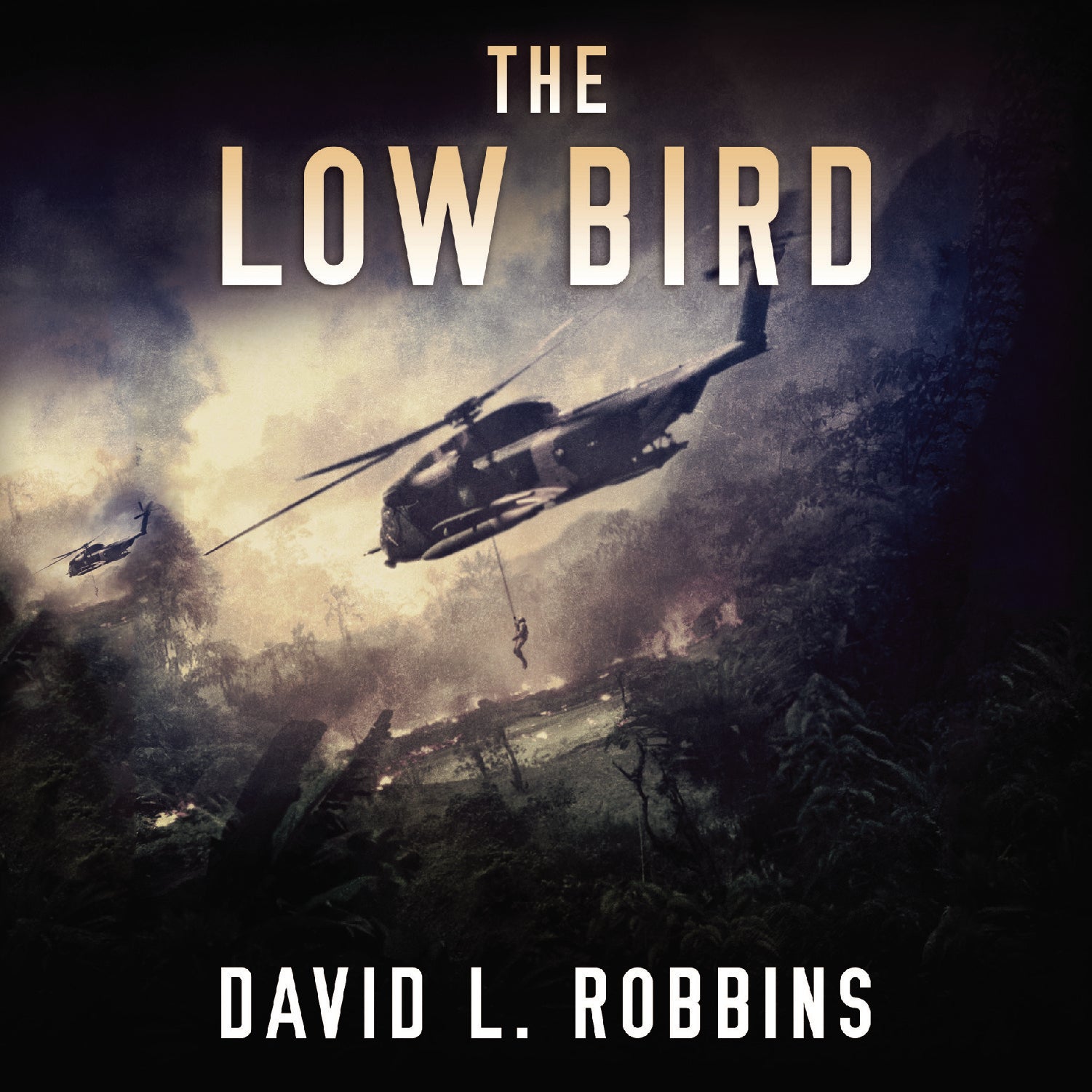 The Low Bird