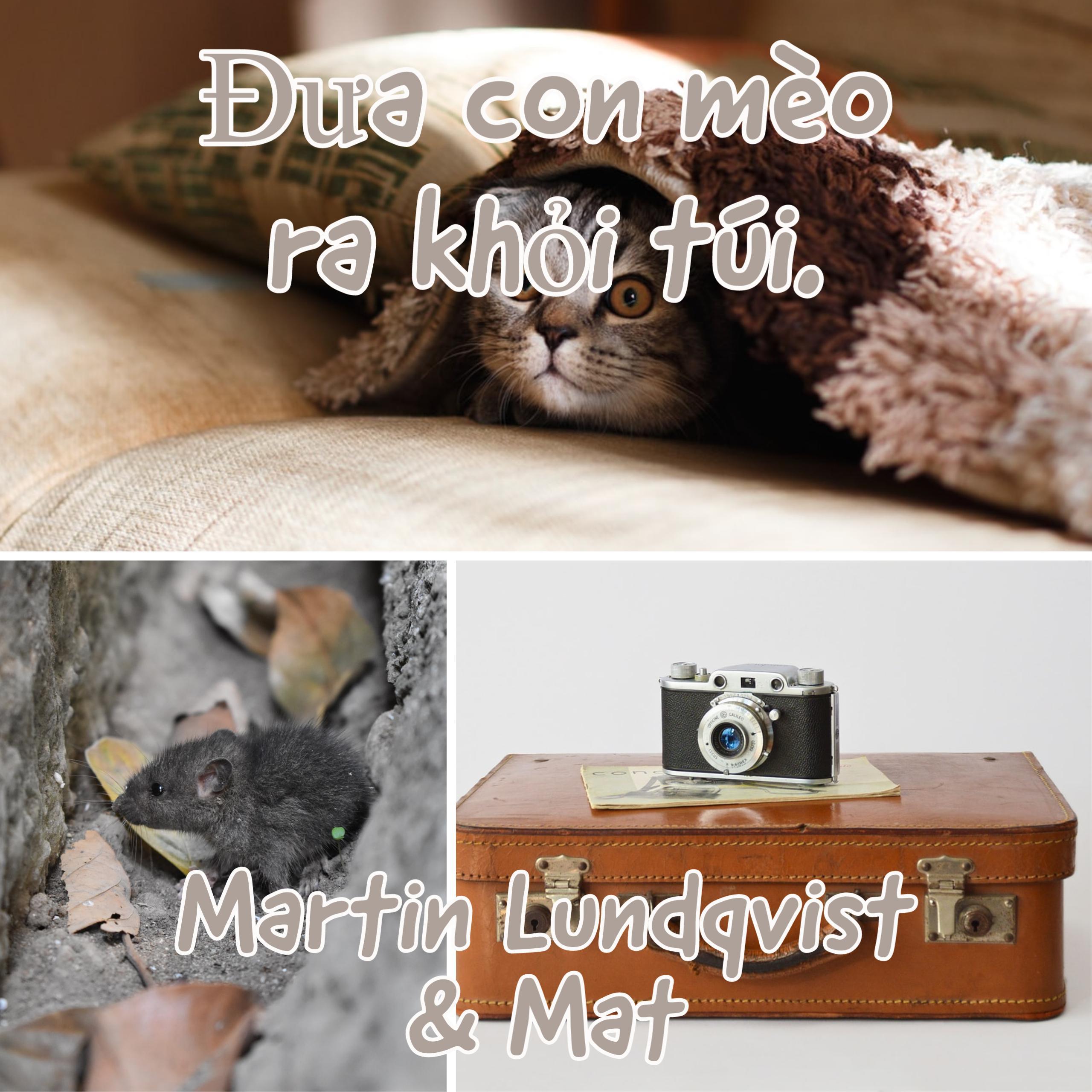 Đưa con mèo ra khỏi túi.