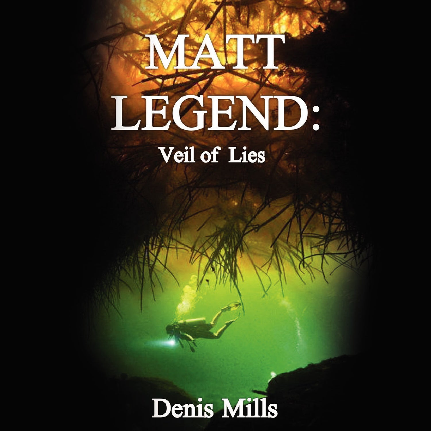 Matt Legend: Veil of Lies