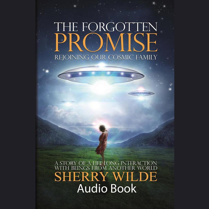 The Forgotten Promise