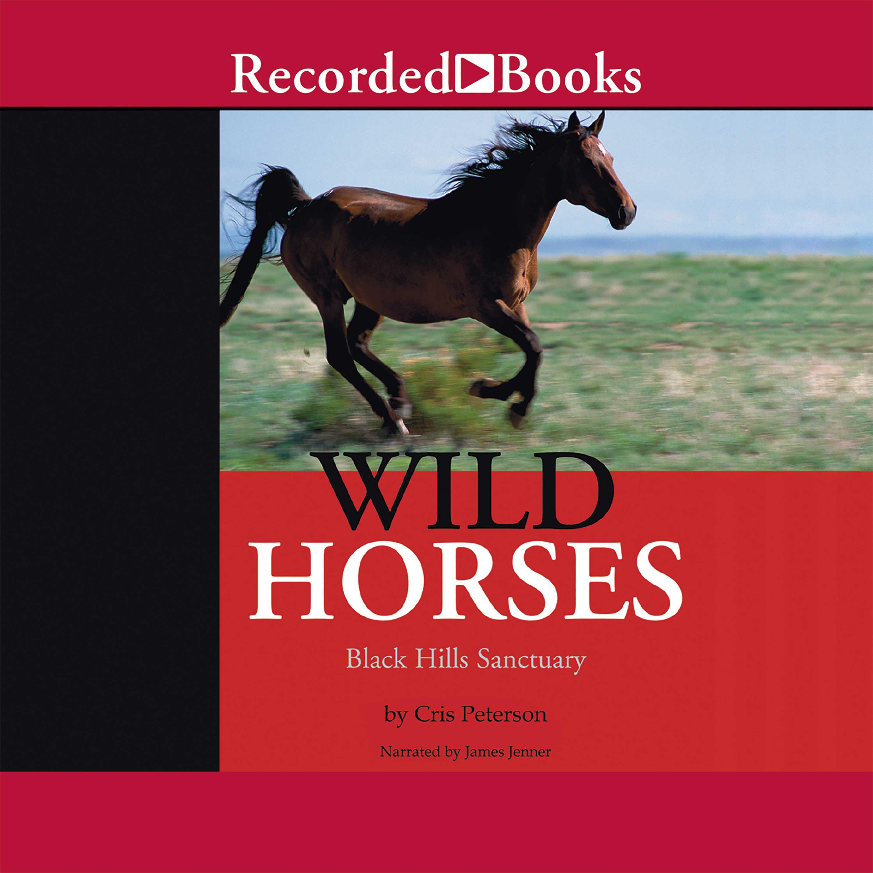 Wild Horses