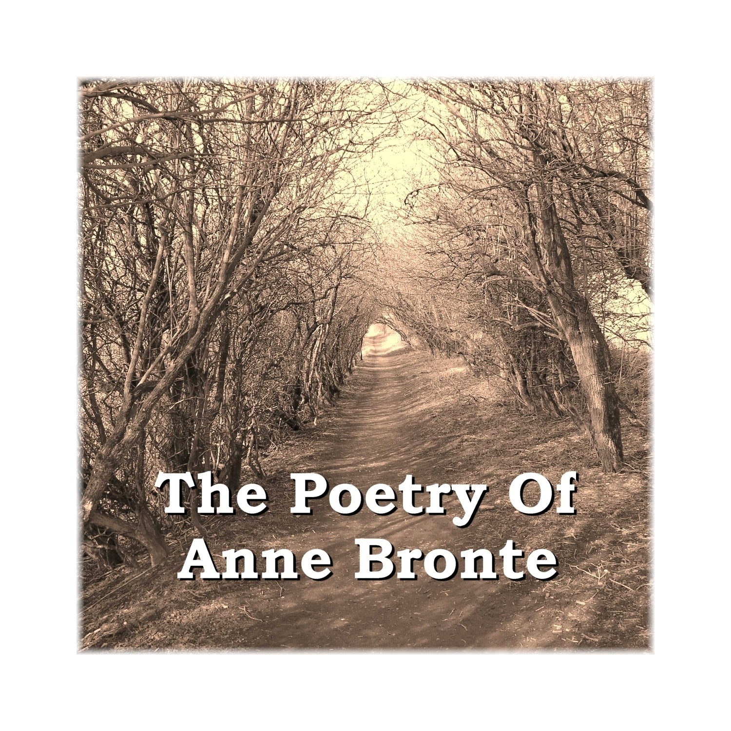 The Poetry of Anne Brontë
