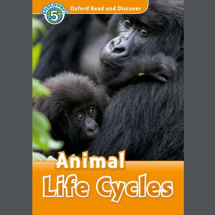 Animal Life Cycles