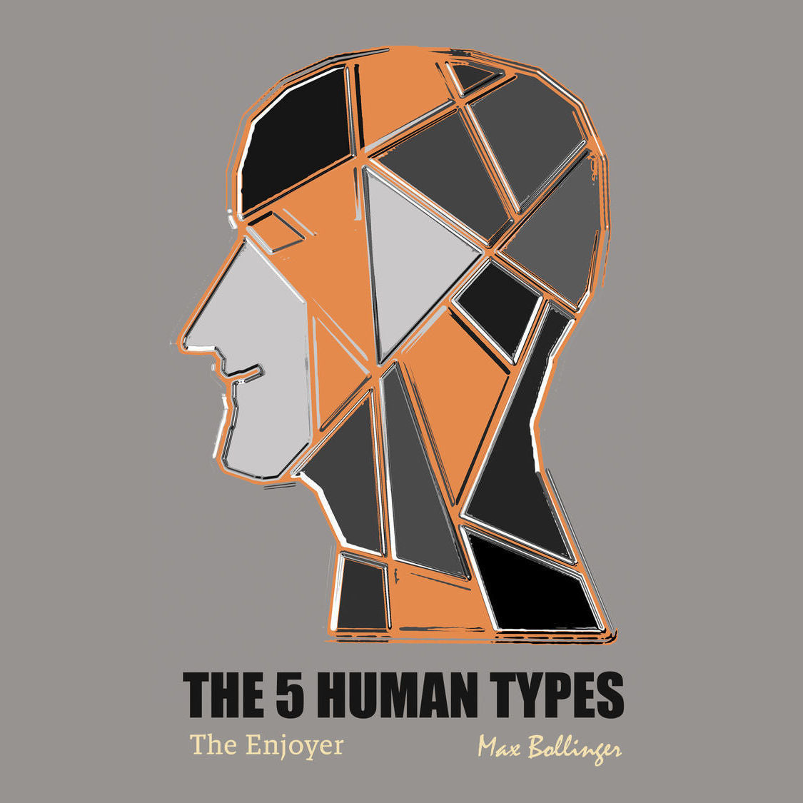 The 5 Human Types Volume 1: (The Enjoyer) How to Read People Using The Science of Human Analysis