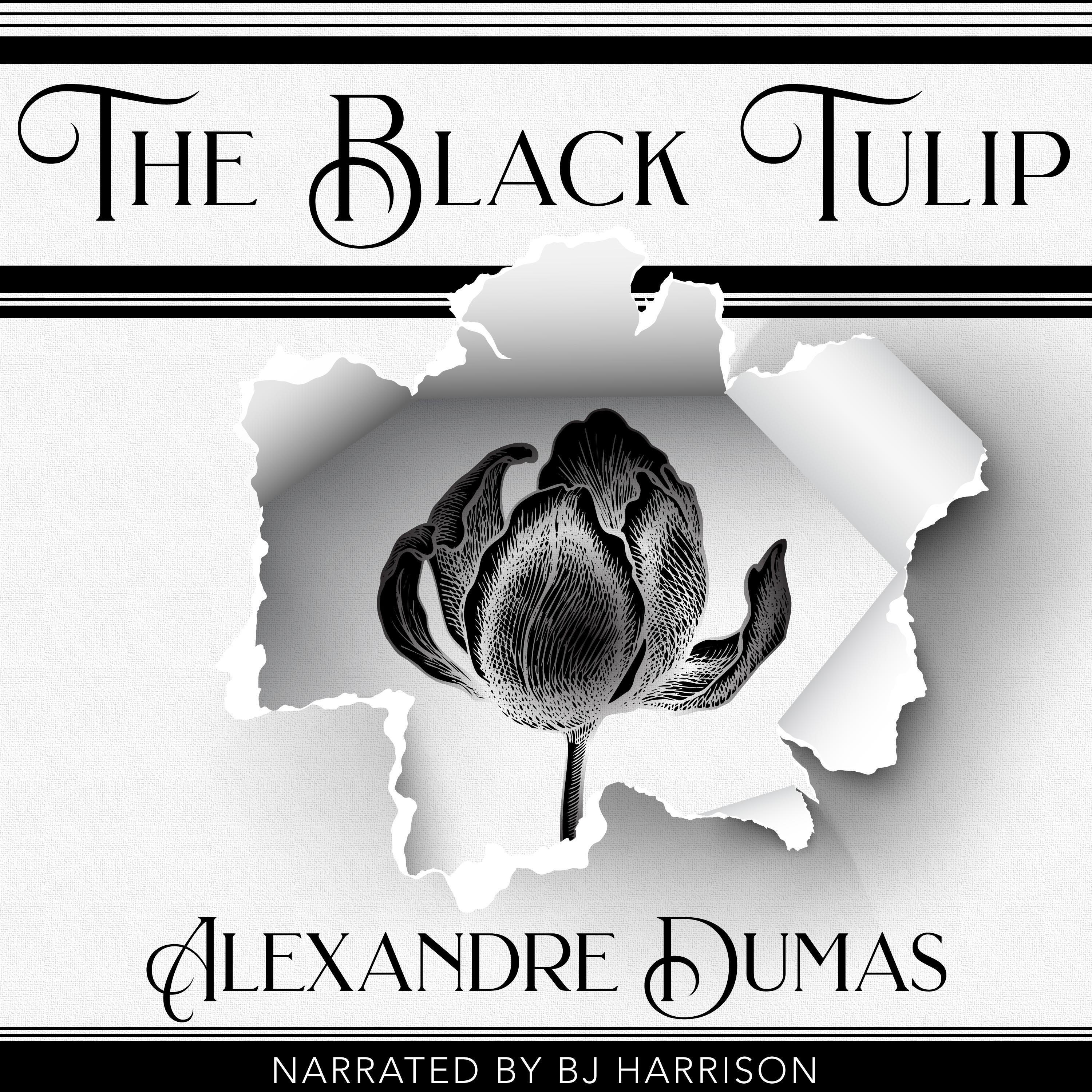 The Black Tulip