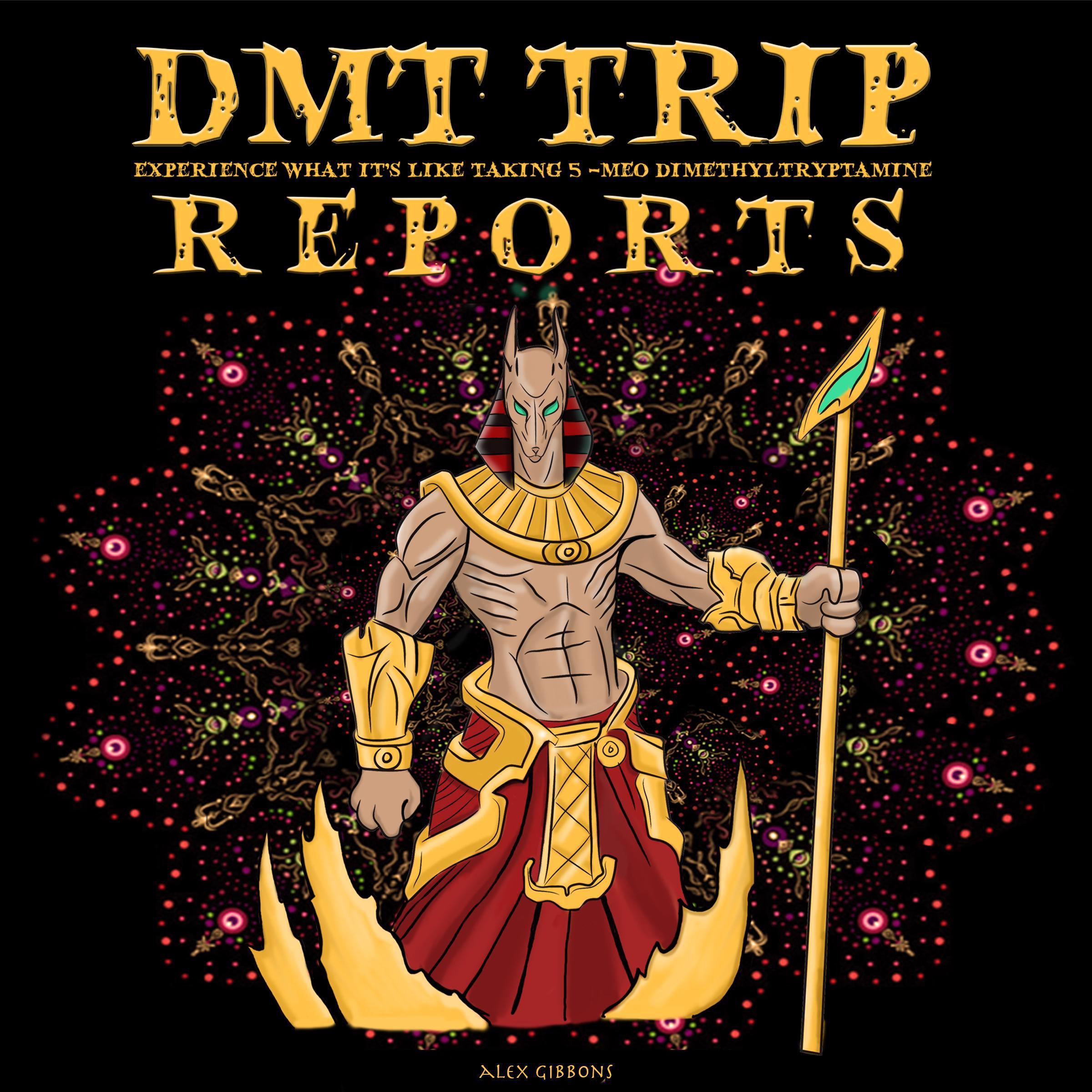 DMT Trip Reports