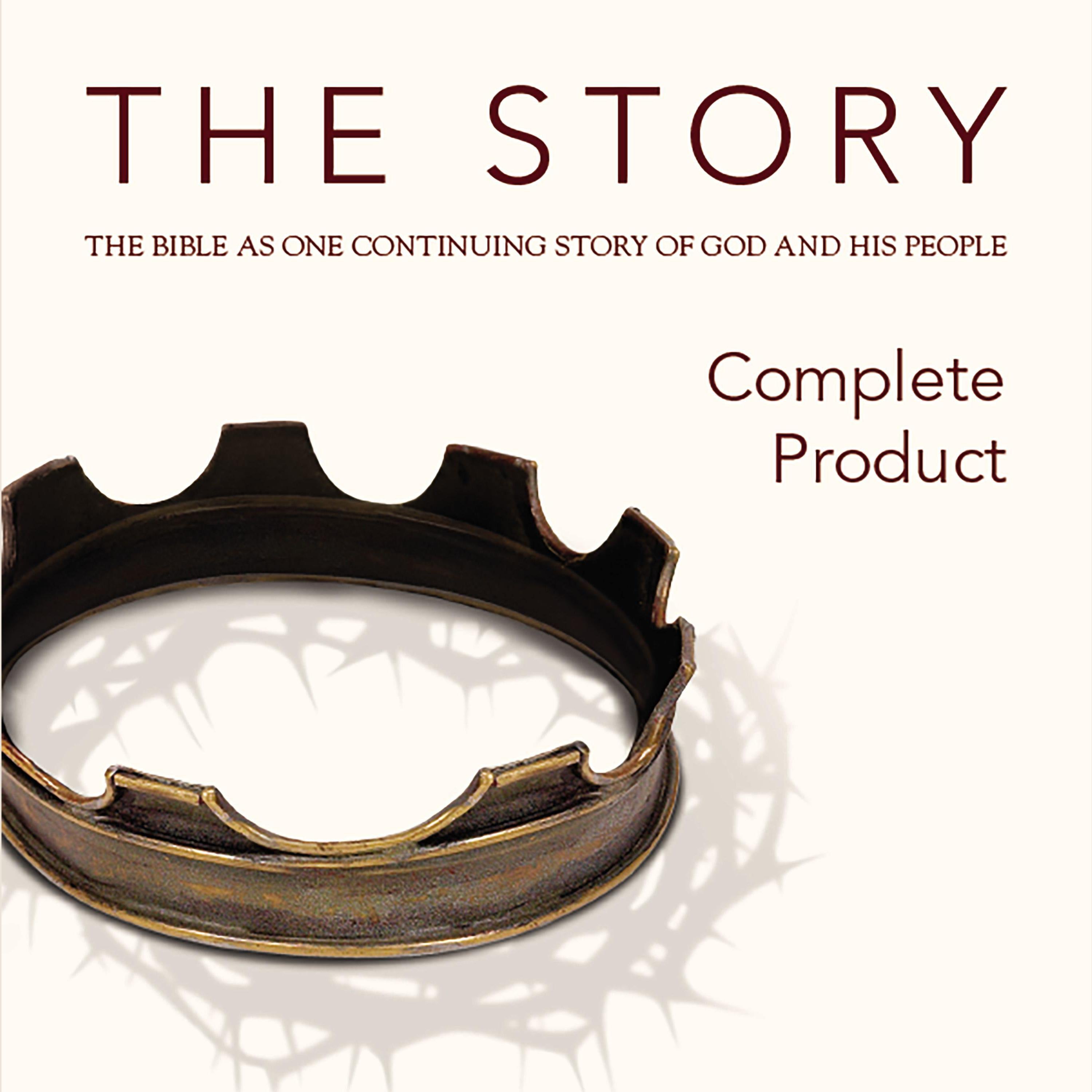The Story Audio Bible—New International Version, NIV