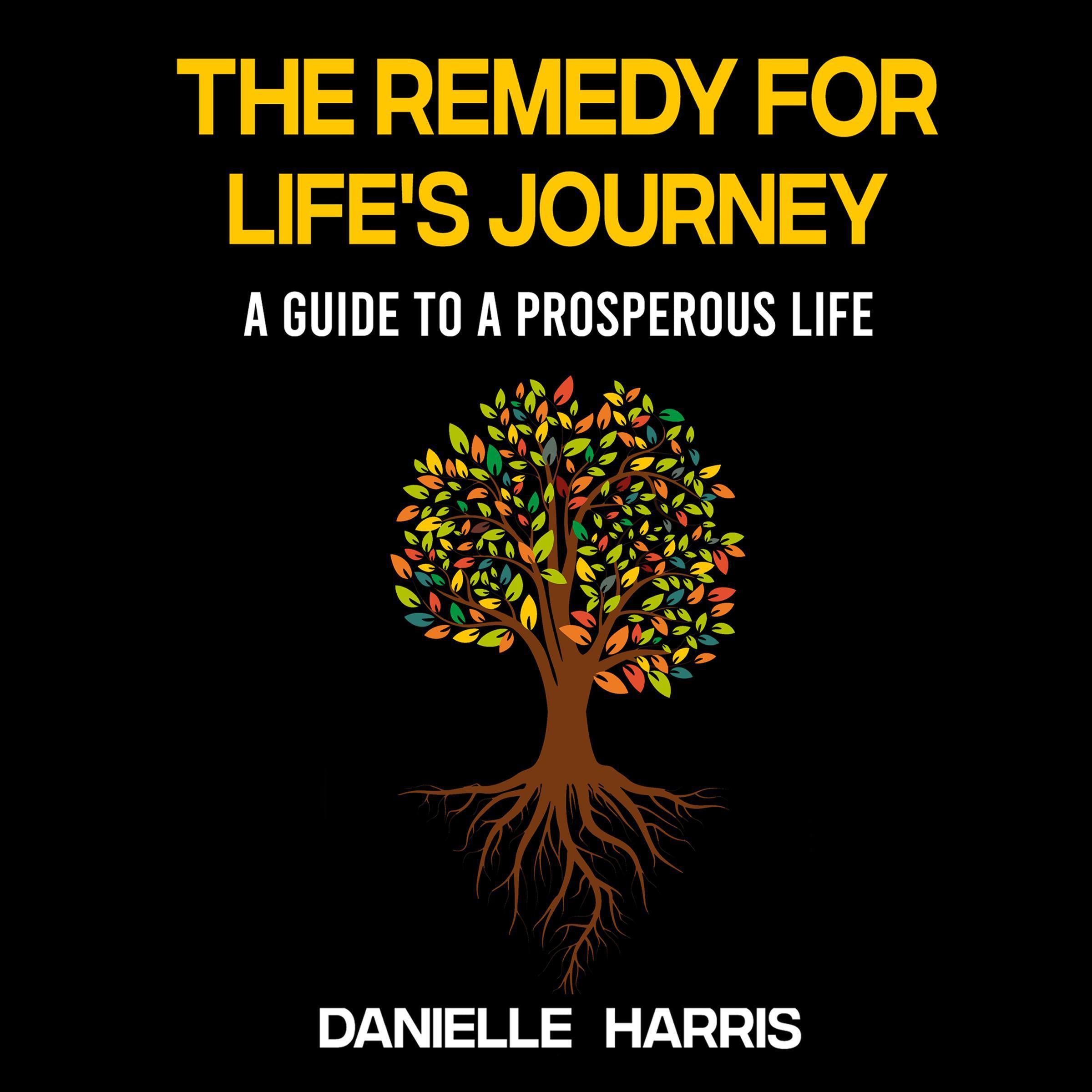 The Remedy For Life's Journey