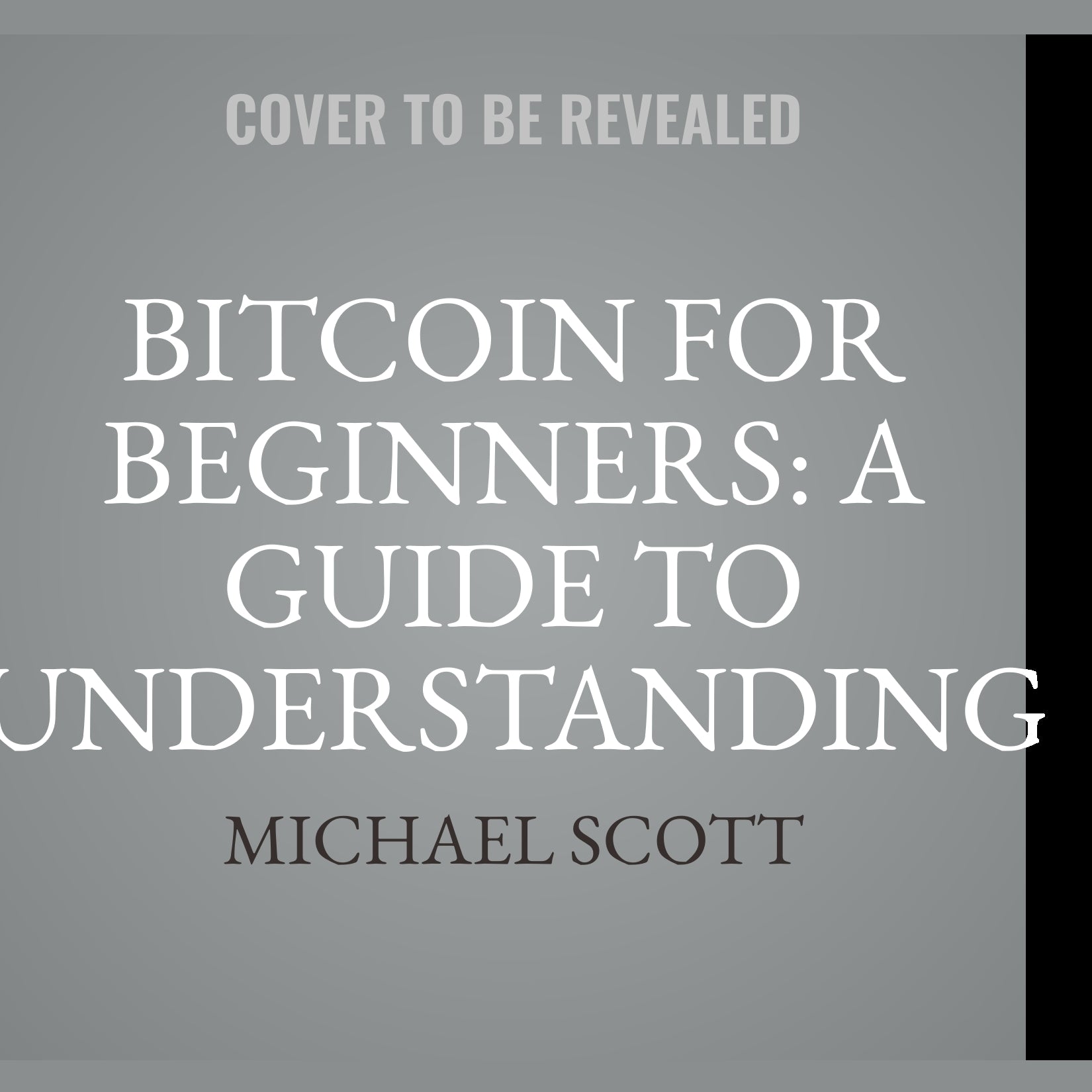 Bitcoin For Beginners