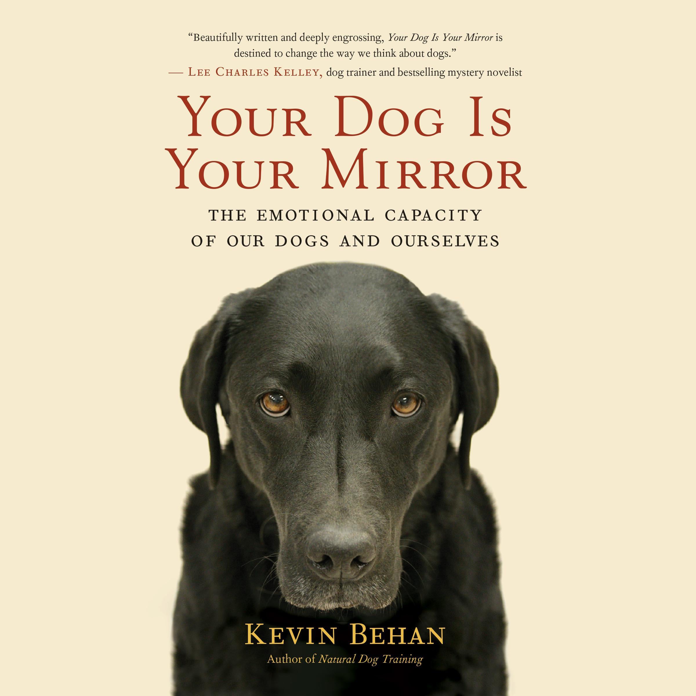 Your Dog Is Your Mirror