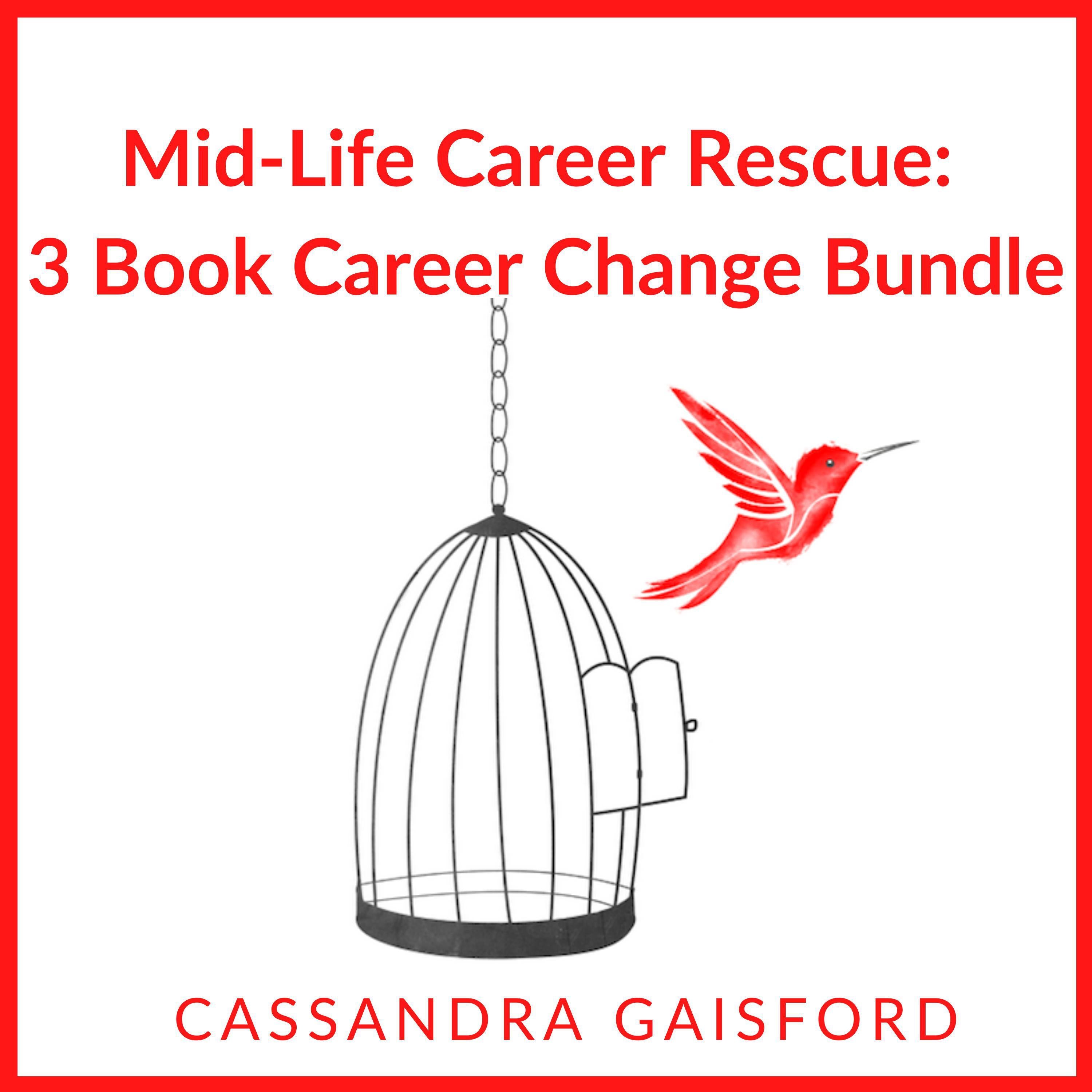 Mid-Life Career Rescue: Career Change 3 Book Bundle