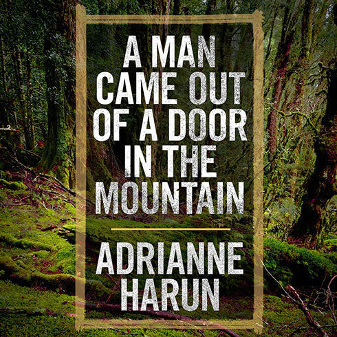 A Man Came Out of a Door in the Mountain