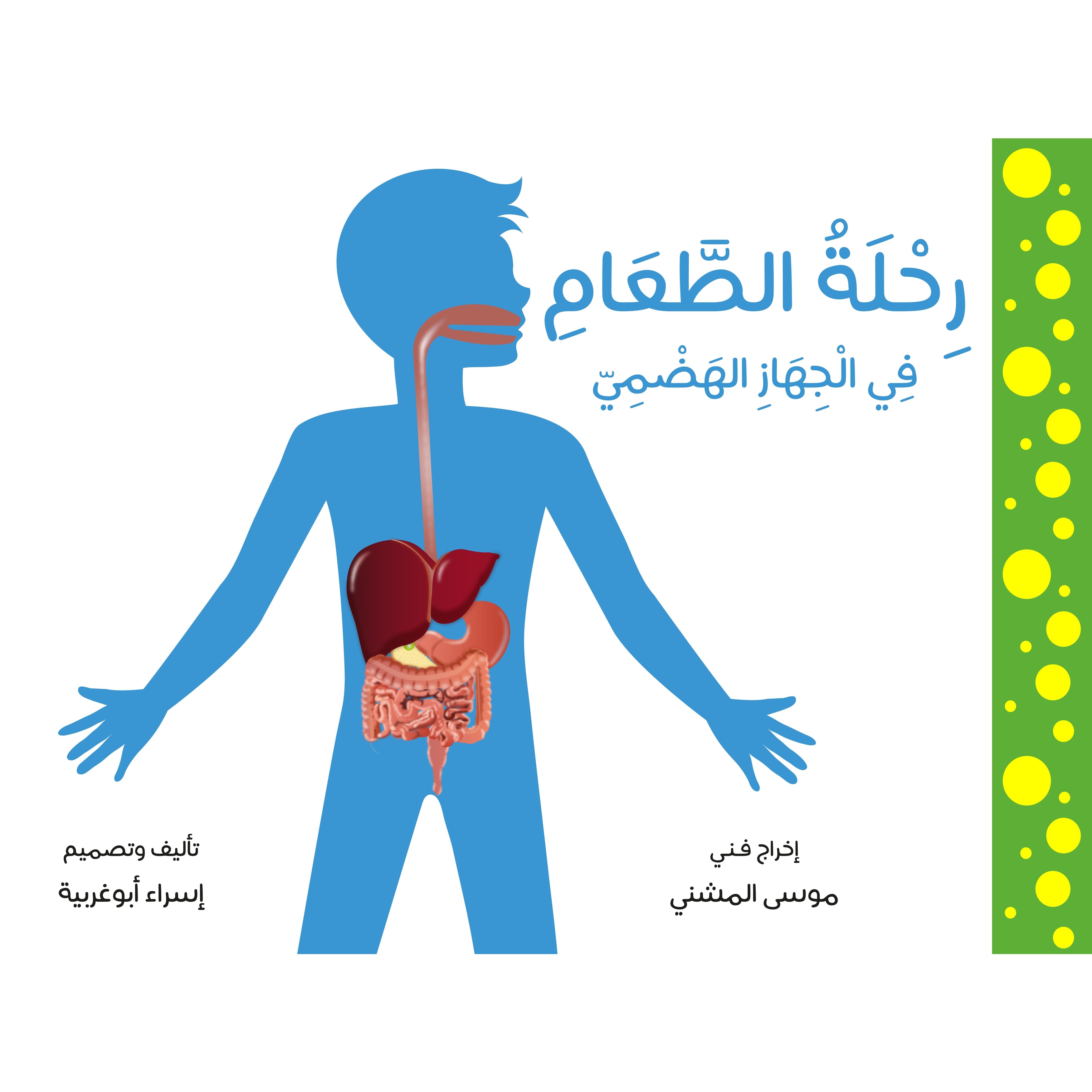 رحلة الطعام في الجهاز الهضمي
