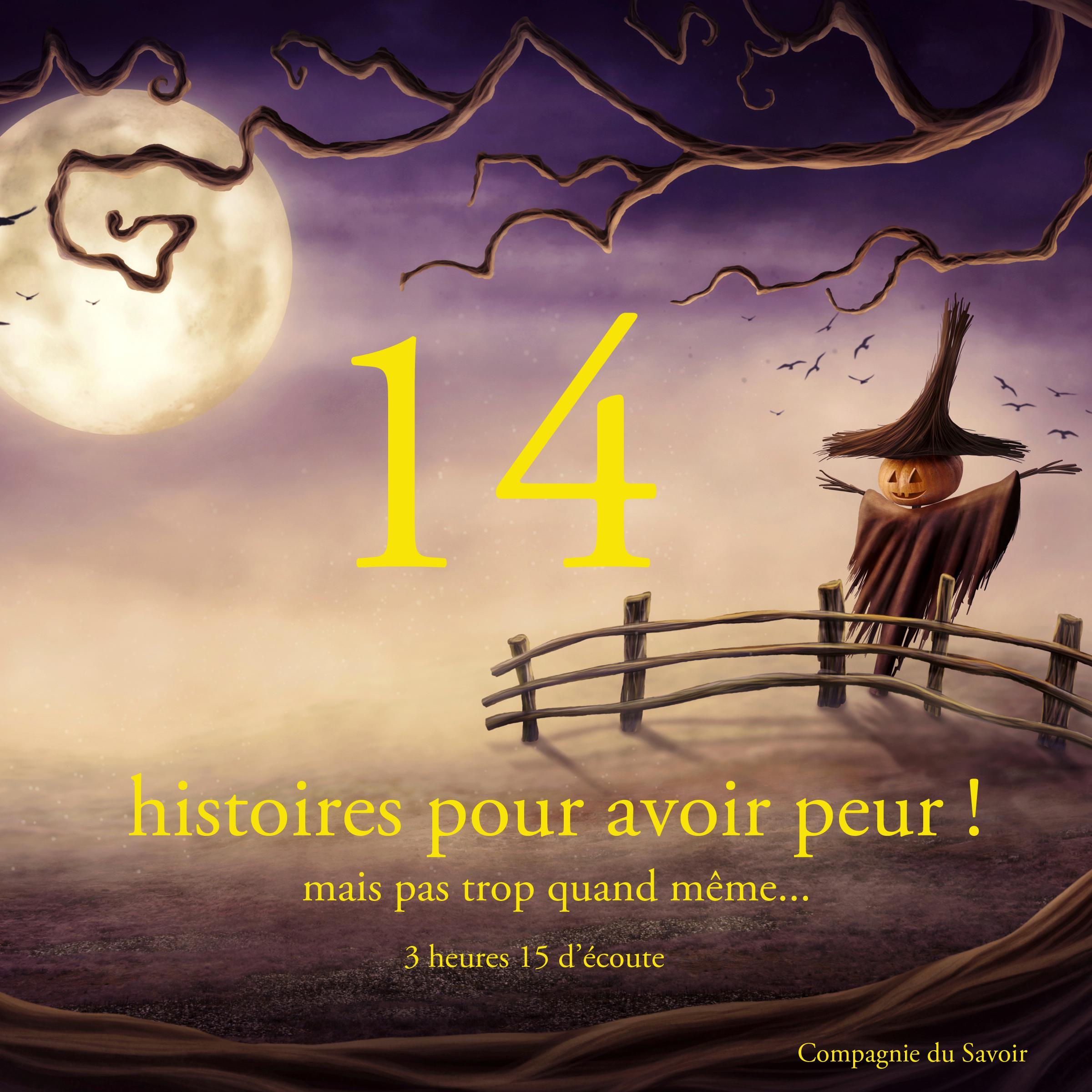 14 contes pour avoir peur mais pas trop quand même