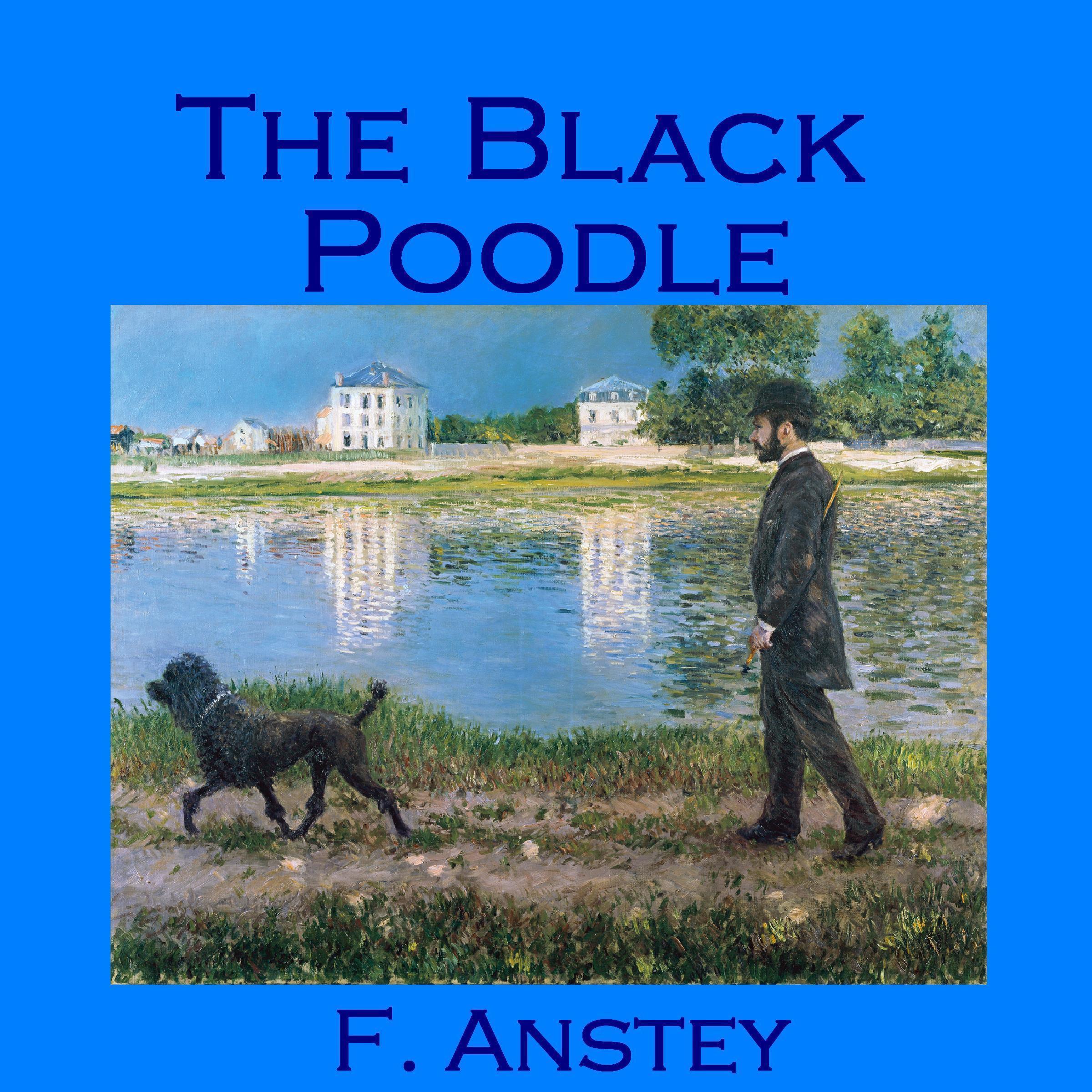 The Black Poodle