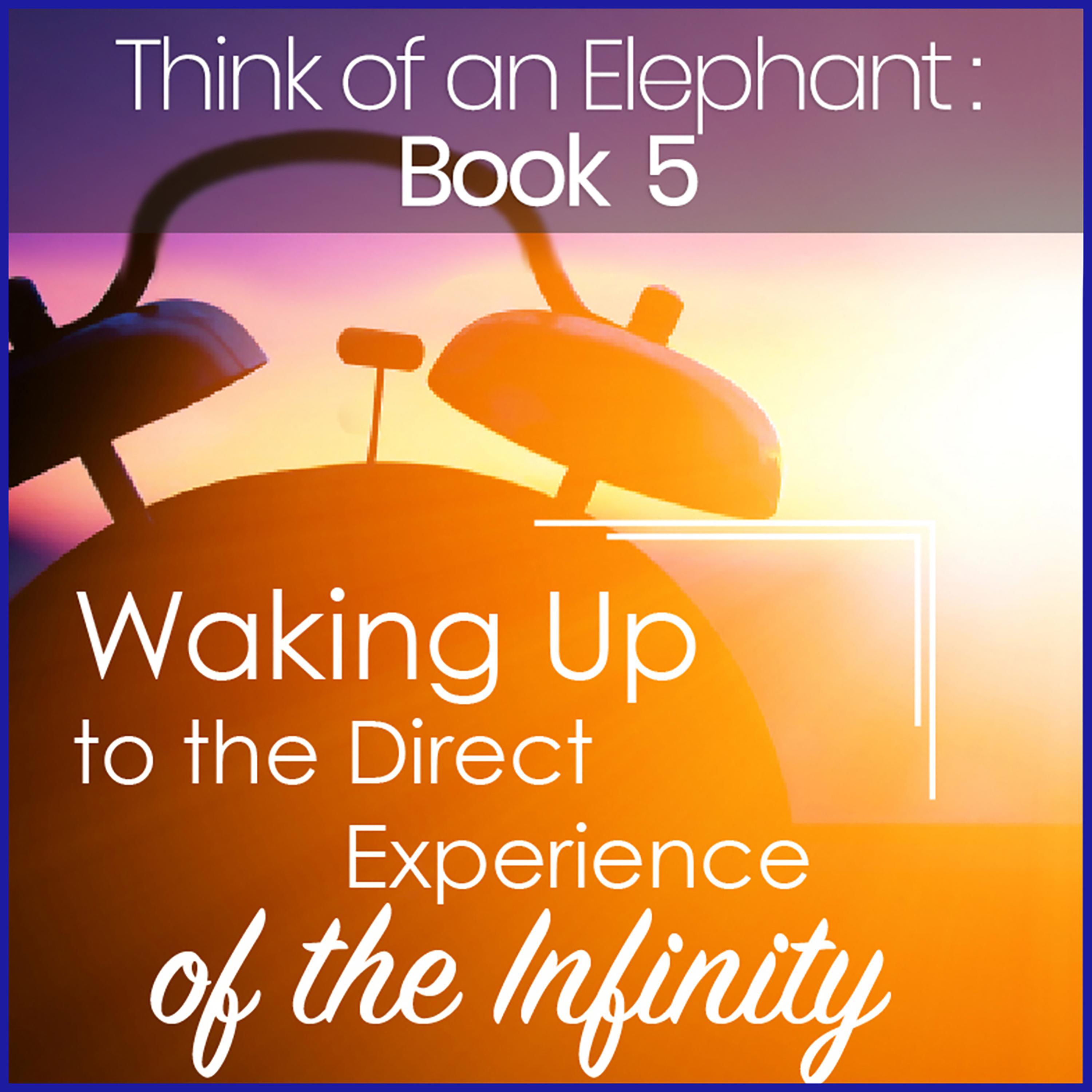 Think of an Elephant Book 5: WAKING UP TO THE DIRECT EXPERIENCE OF THE INFINITY