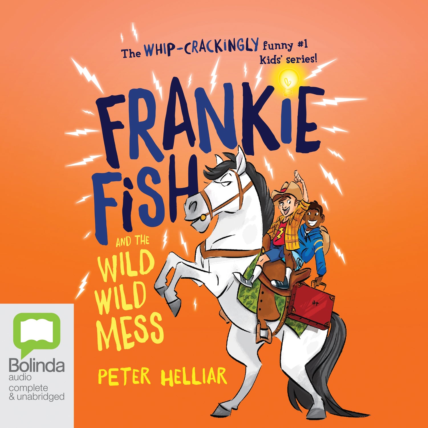 Frankie Fish and the Wild Wild Mess
