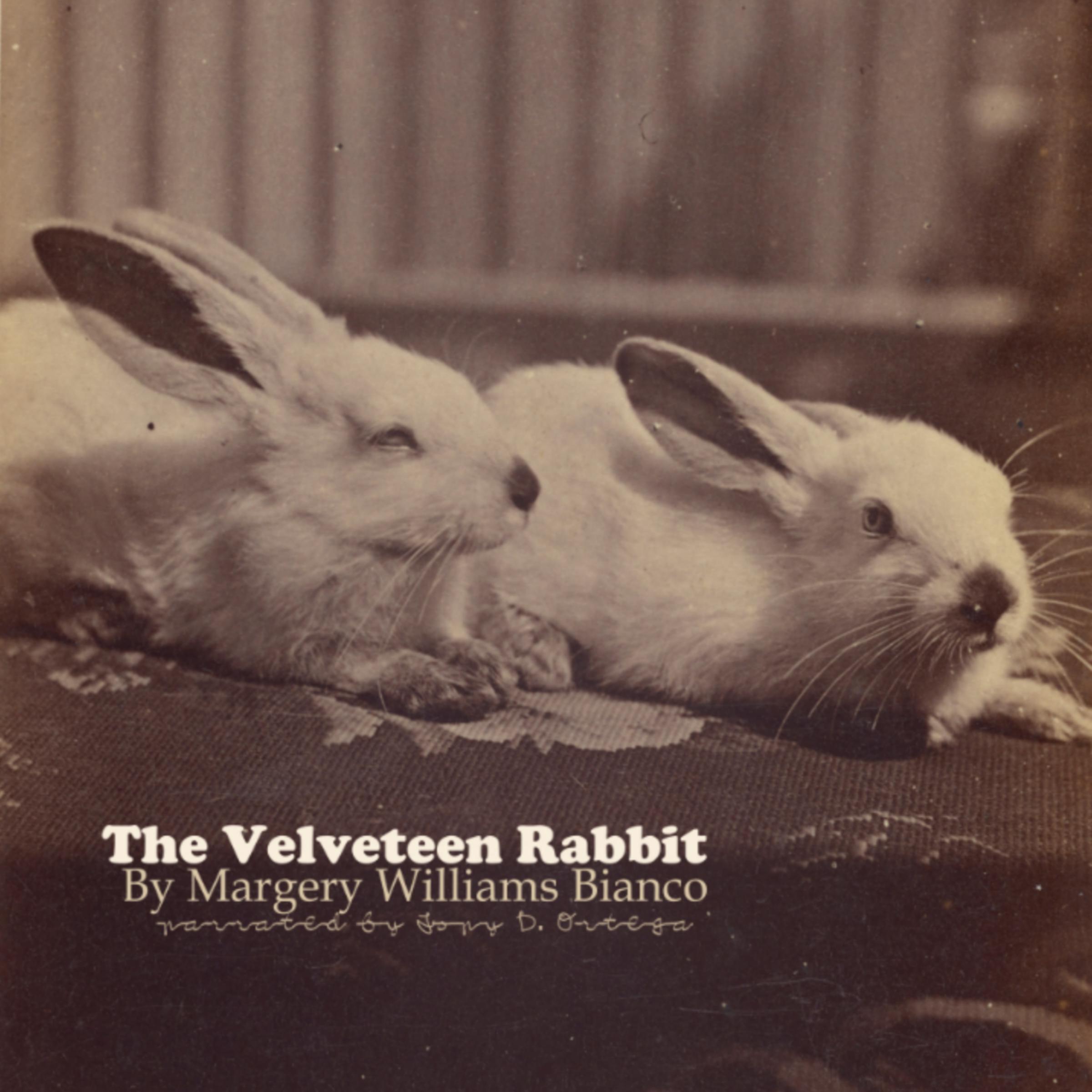 The Velveteen Rabbit