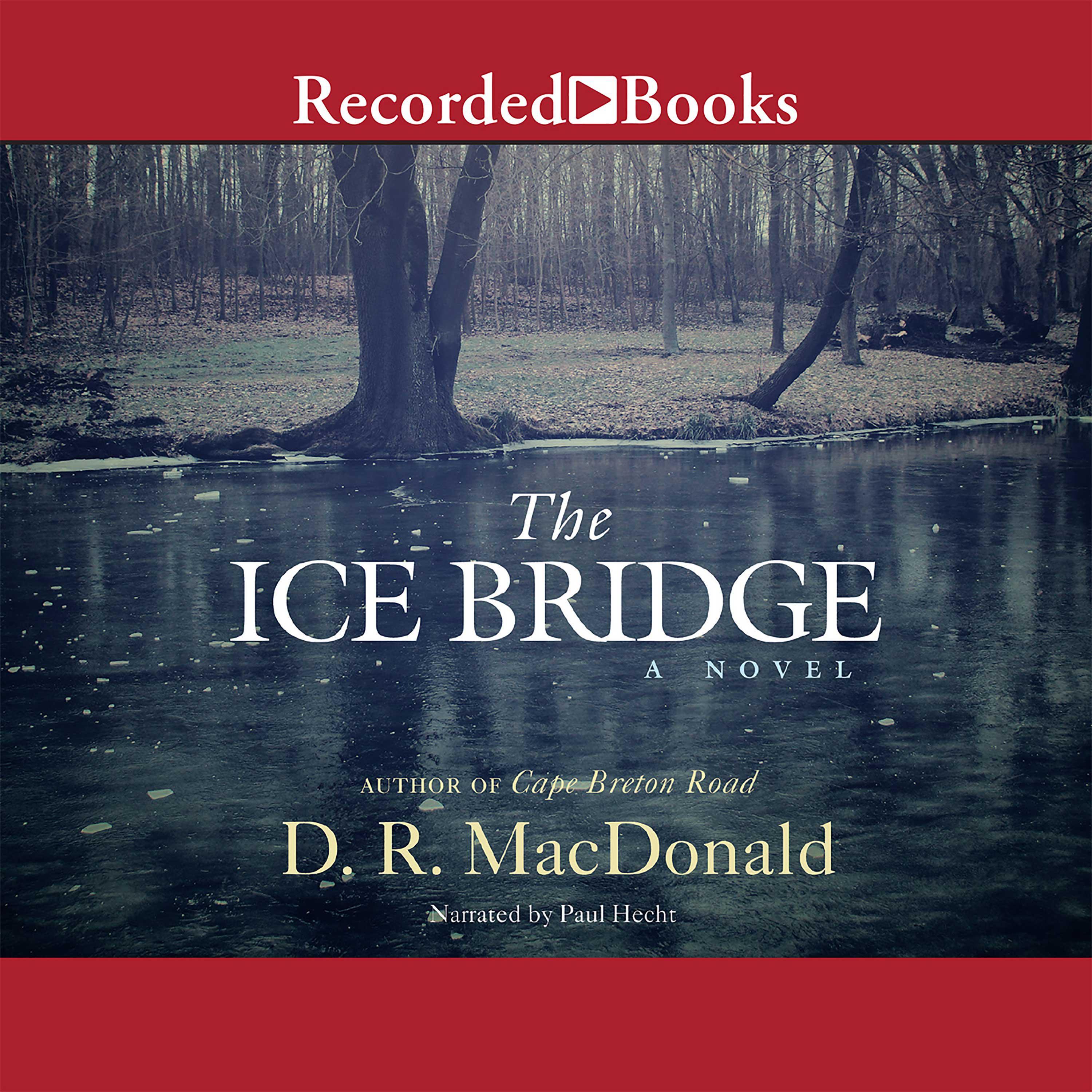 The Ice Bridge