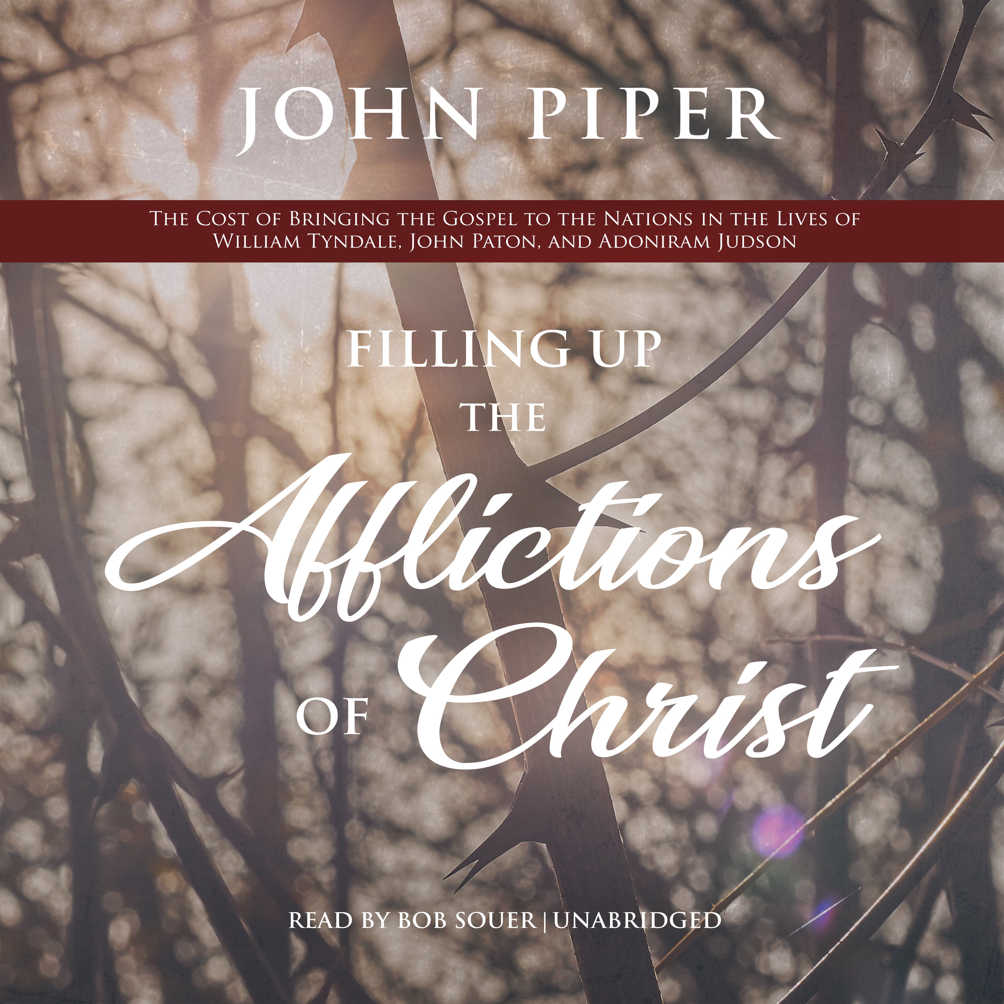 Filling Up the Afflictions of Christ