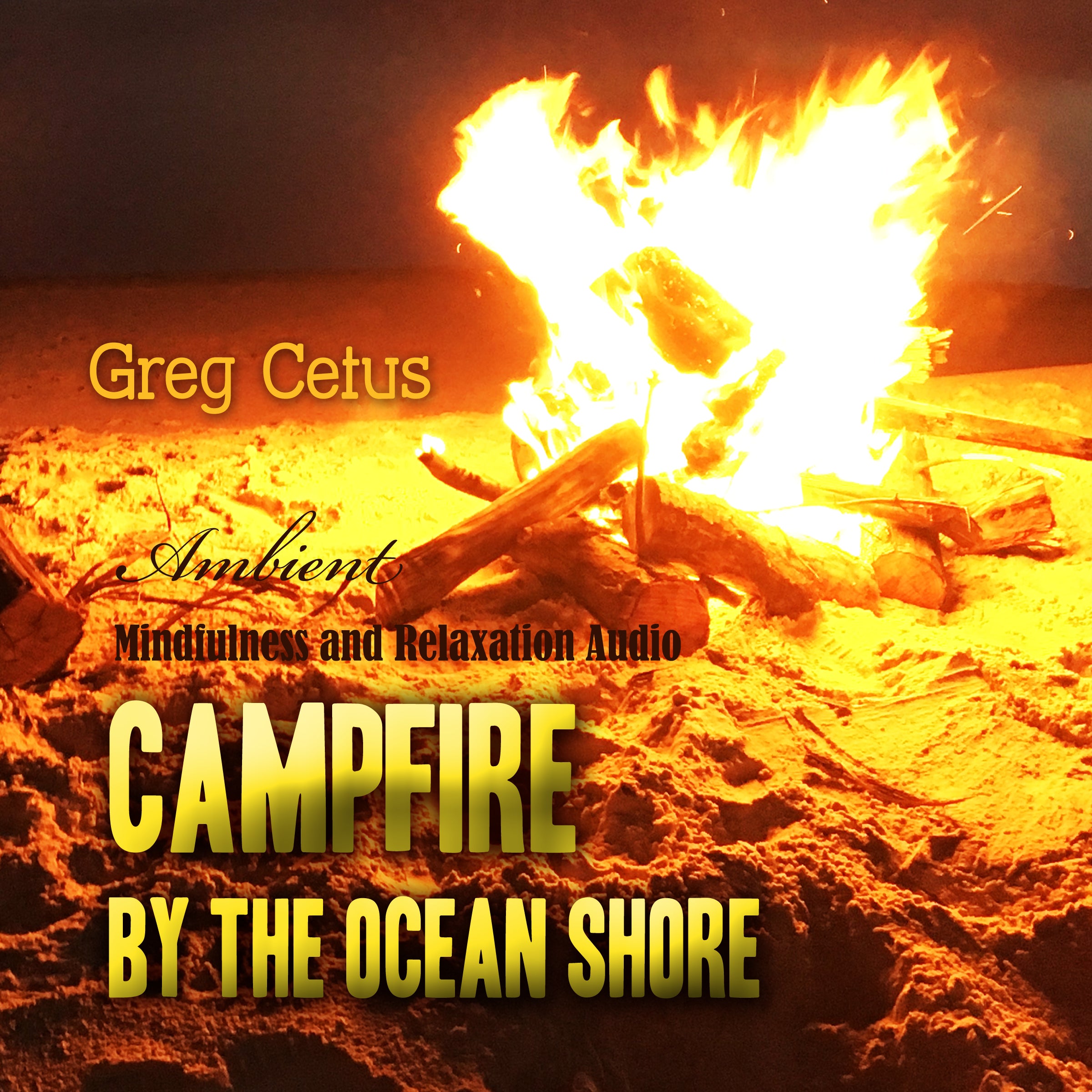 Campfire by the Ocean Shore
