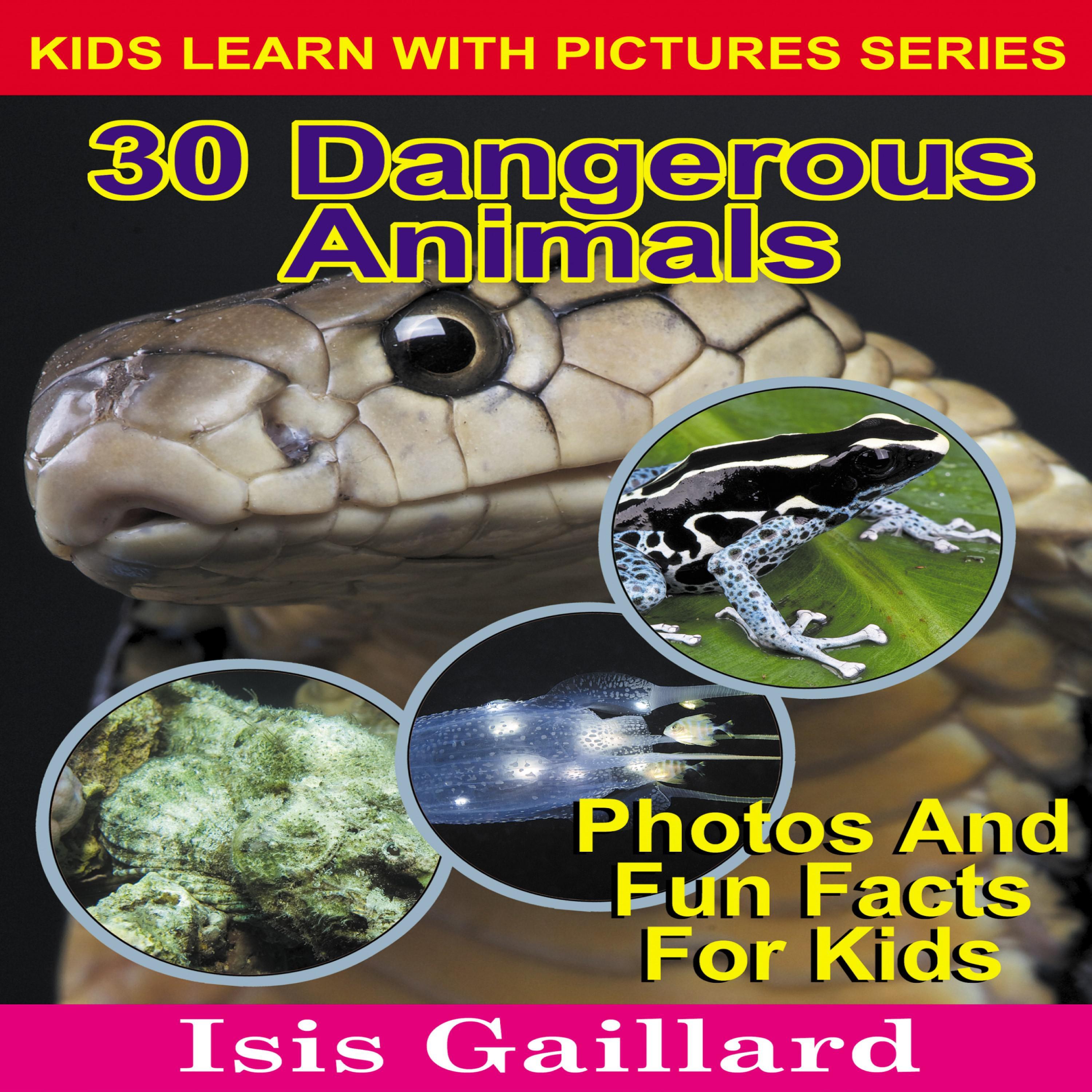 30 Dangerous Animals