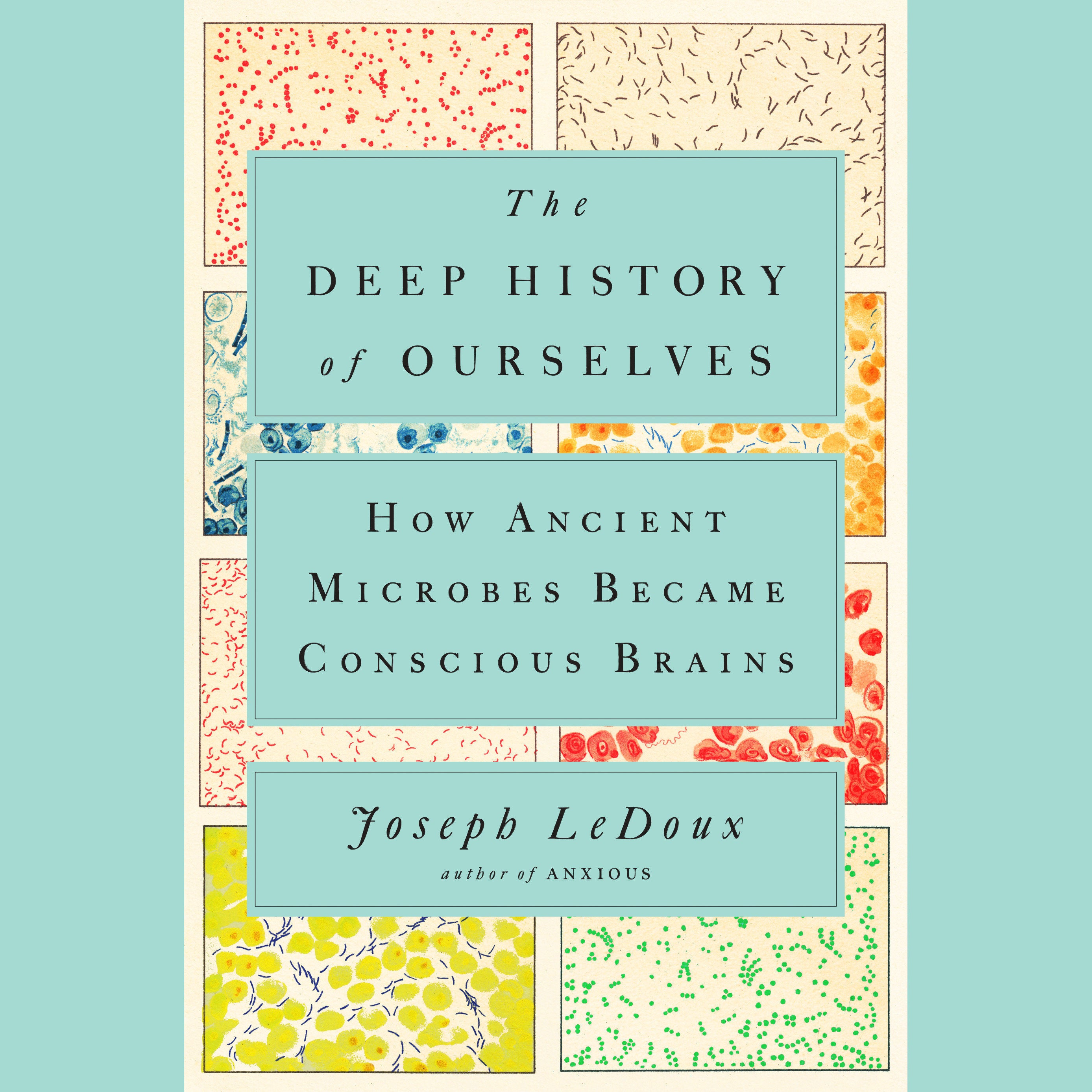 The Deep History of Ourselves
