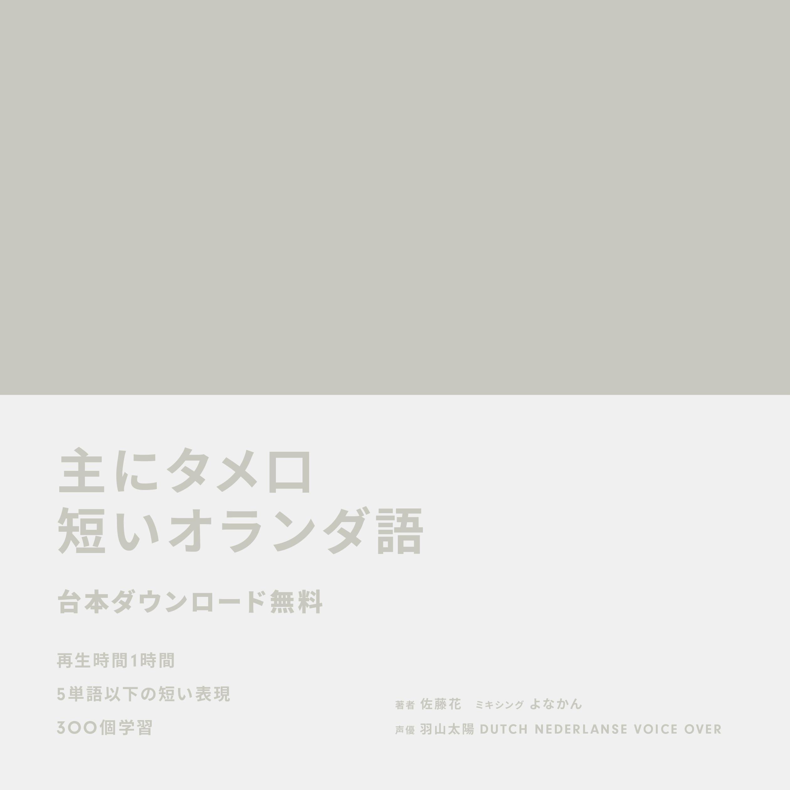 主にタメ口短いオランダ語