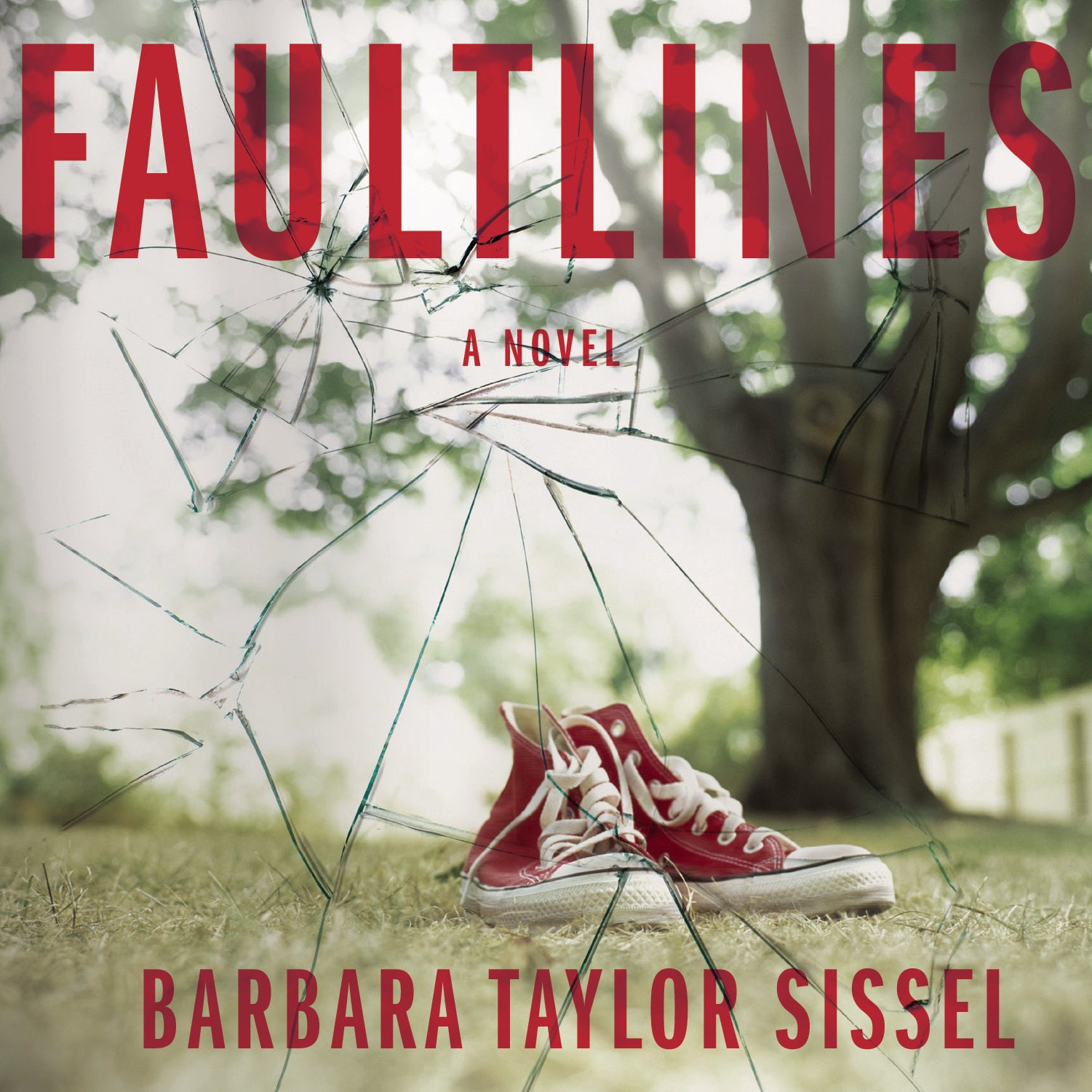 Faultlines