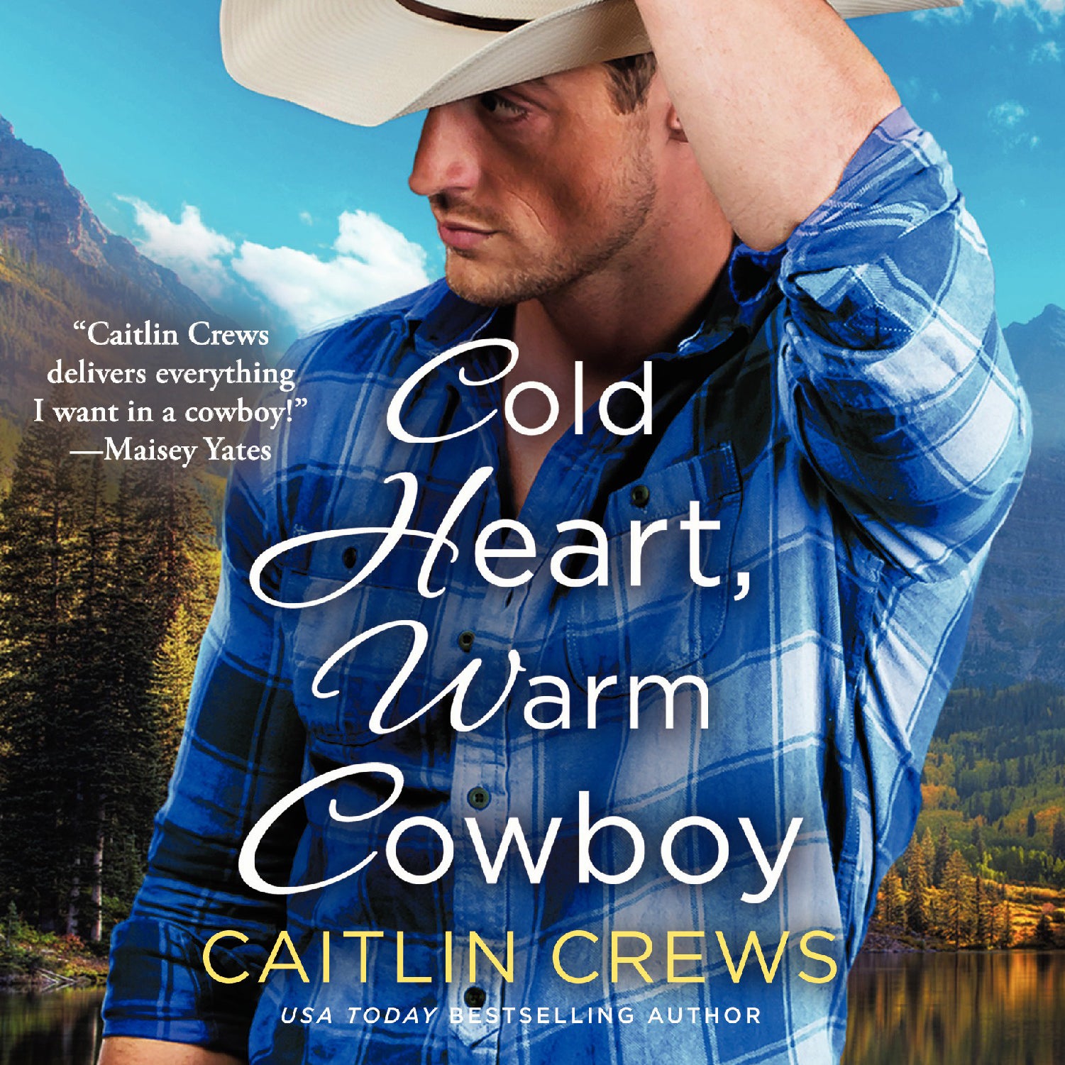 Cold Heart, Warm Cowboy