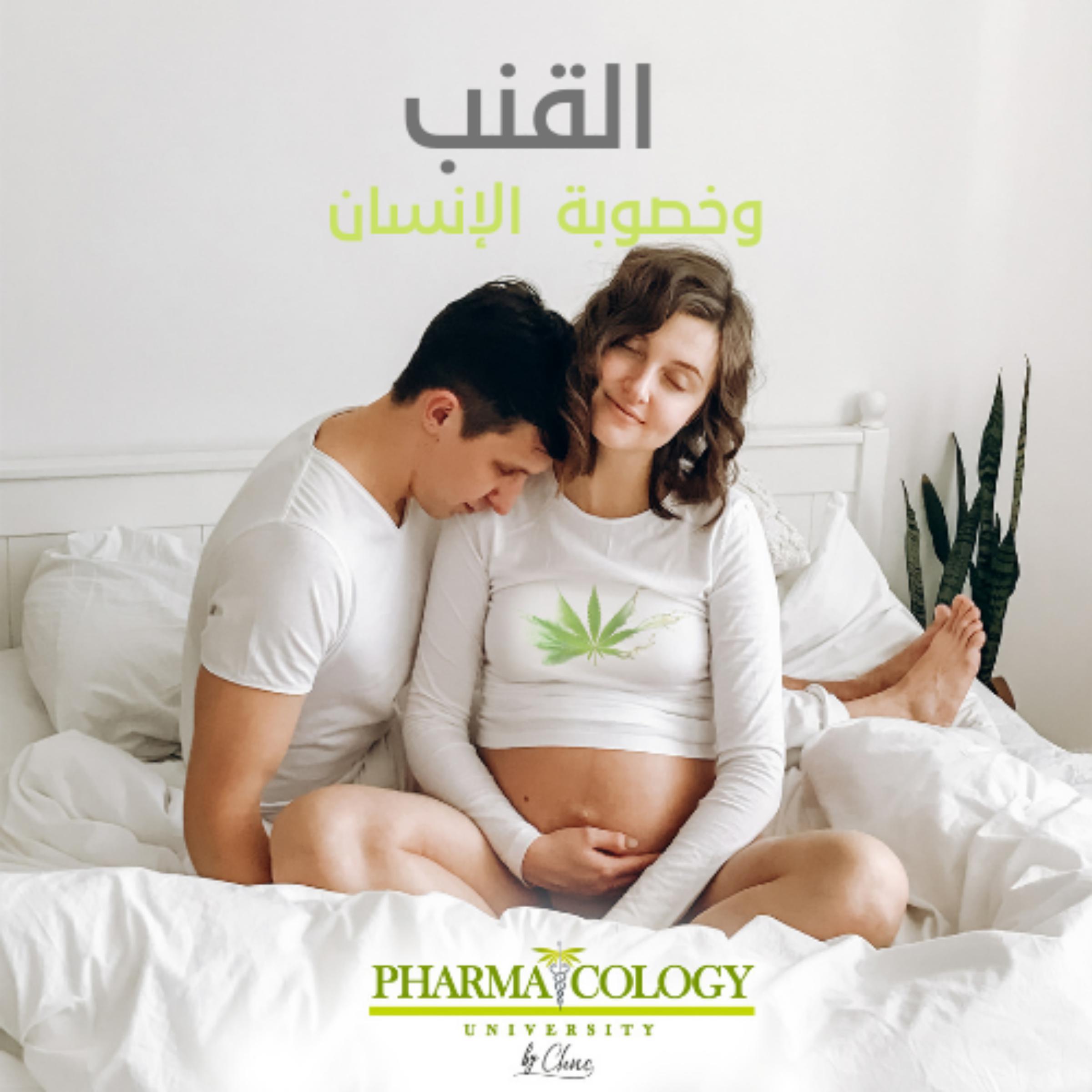 القنب وخصوبة الإنسان