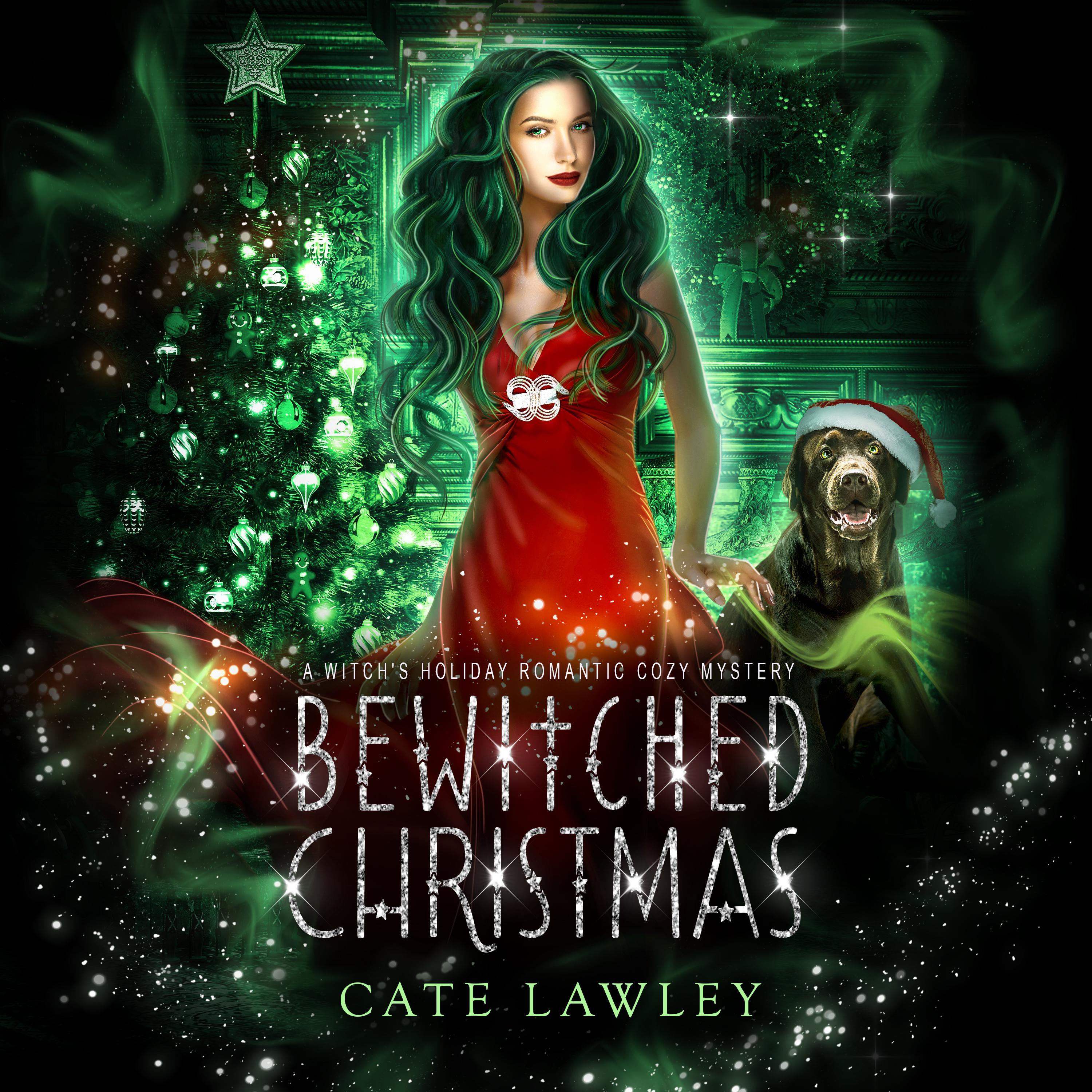 Bewitched Christmas