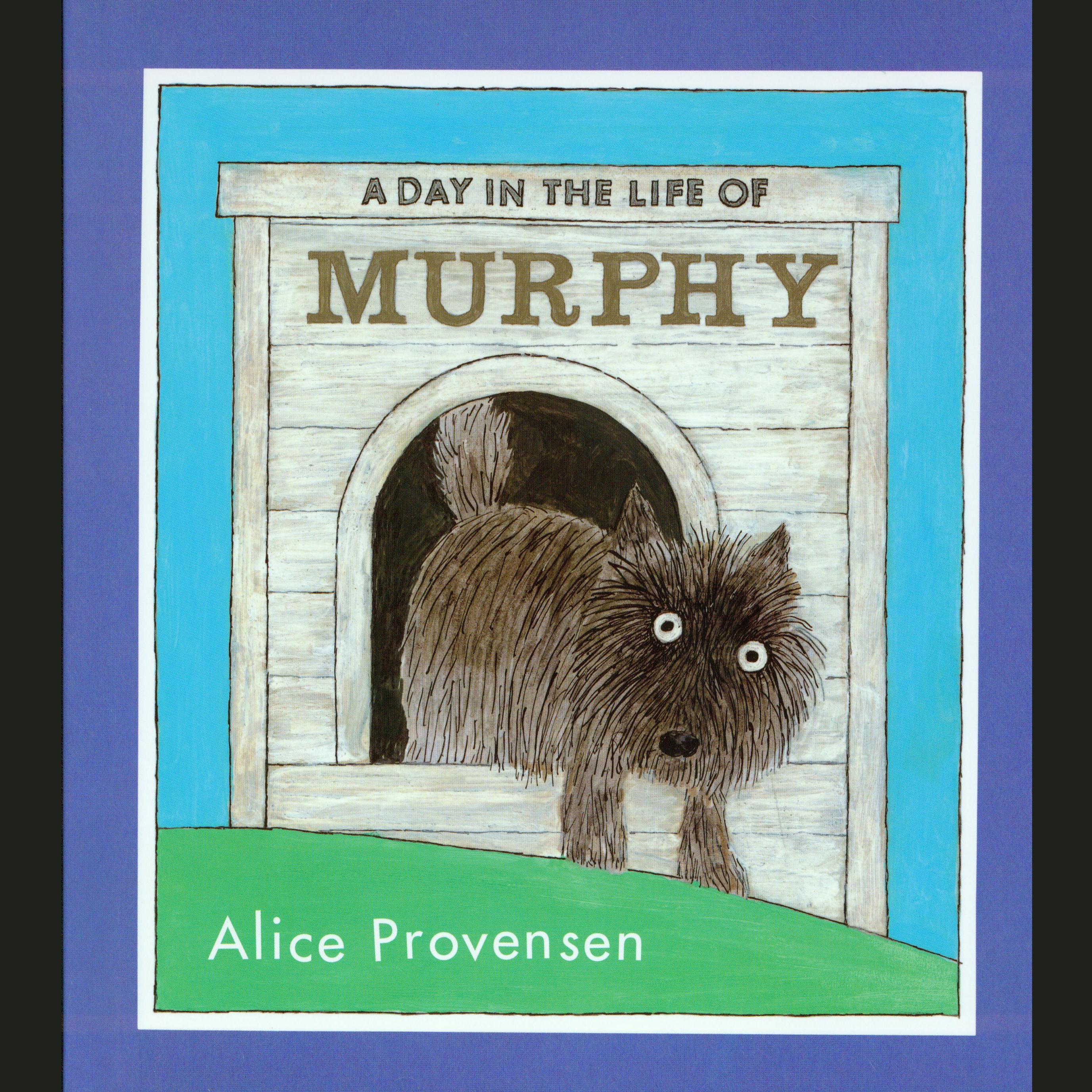 A Day in the Life of Murphy