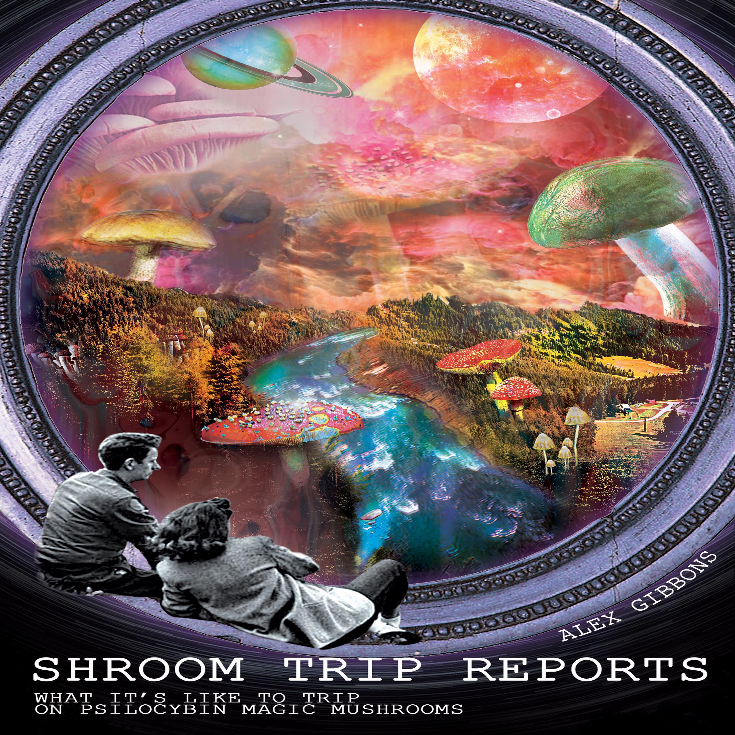 Shroom Trip Reports—What It’s Like to Trip on Psilocybin Magic Mushrooms