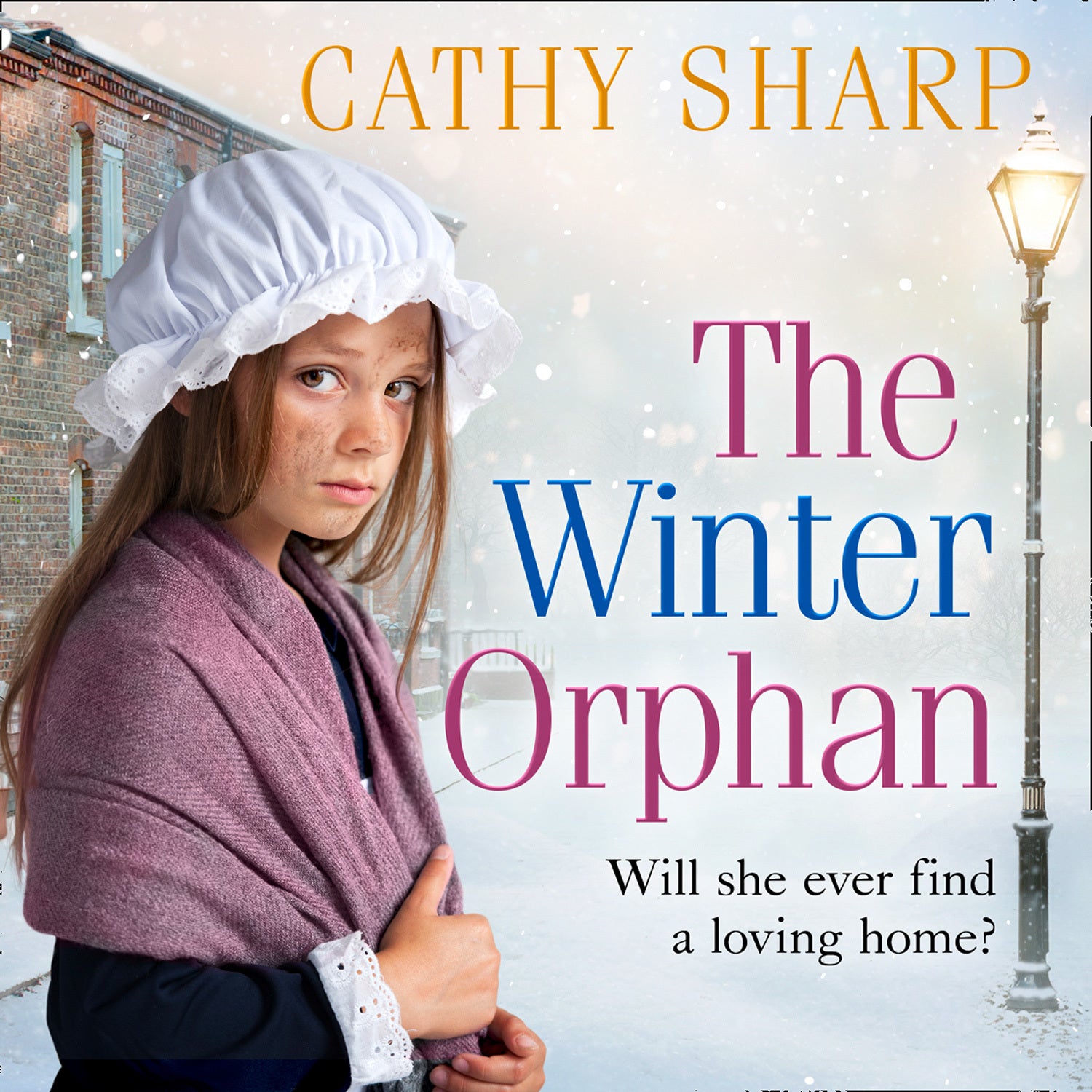 The Winter Orphan