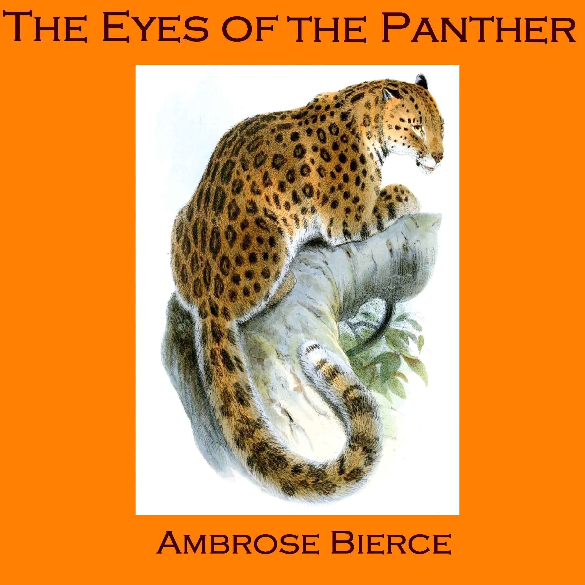 The Eyes of the Panther, and Other Stories