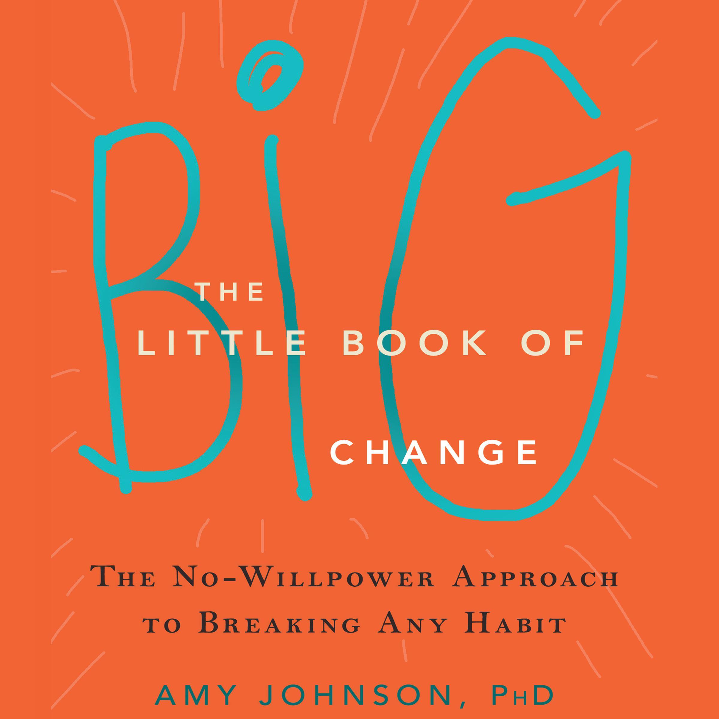 The Little Book of Big Change