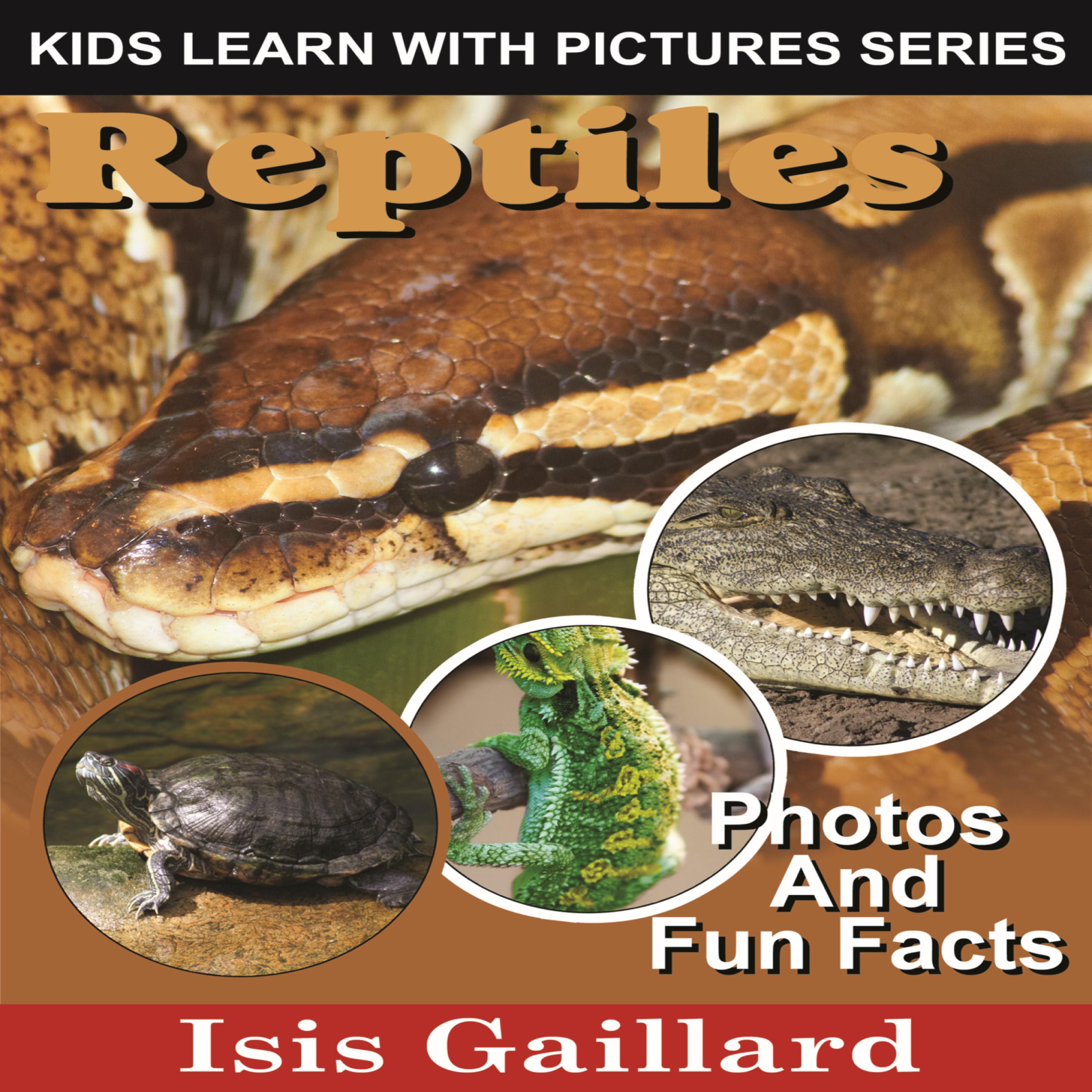 Reptiles