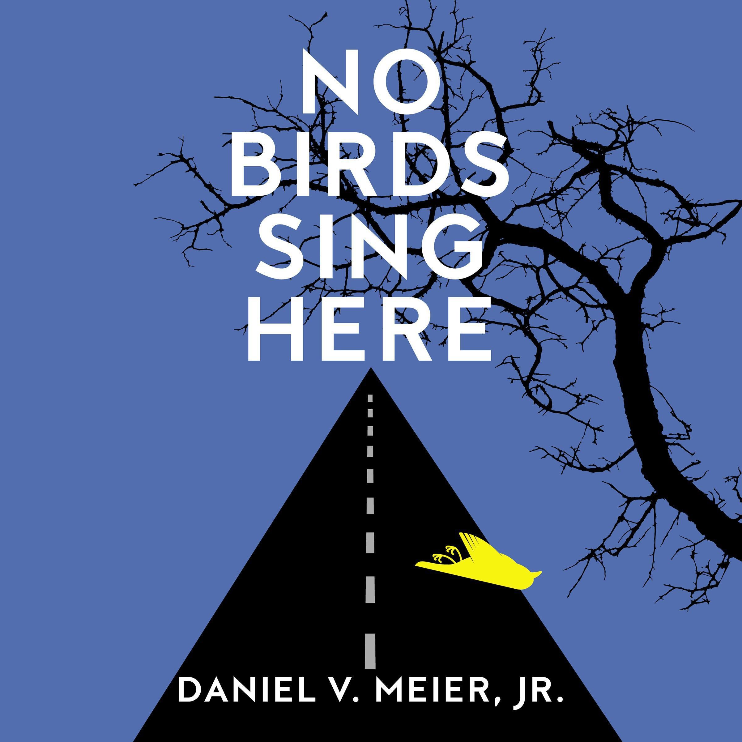 No Birds Sing Here